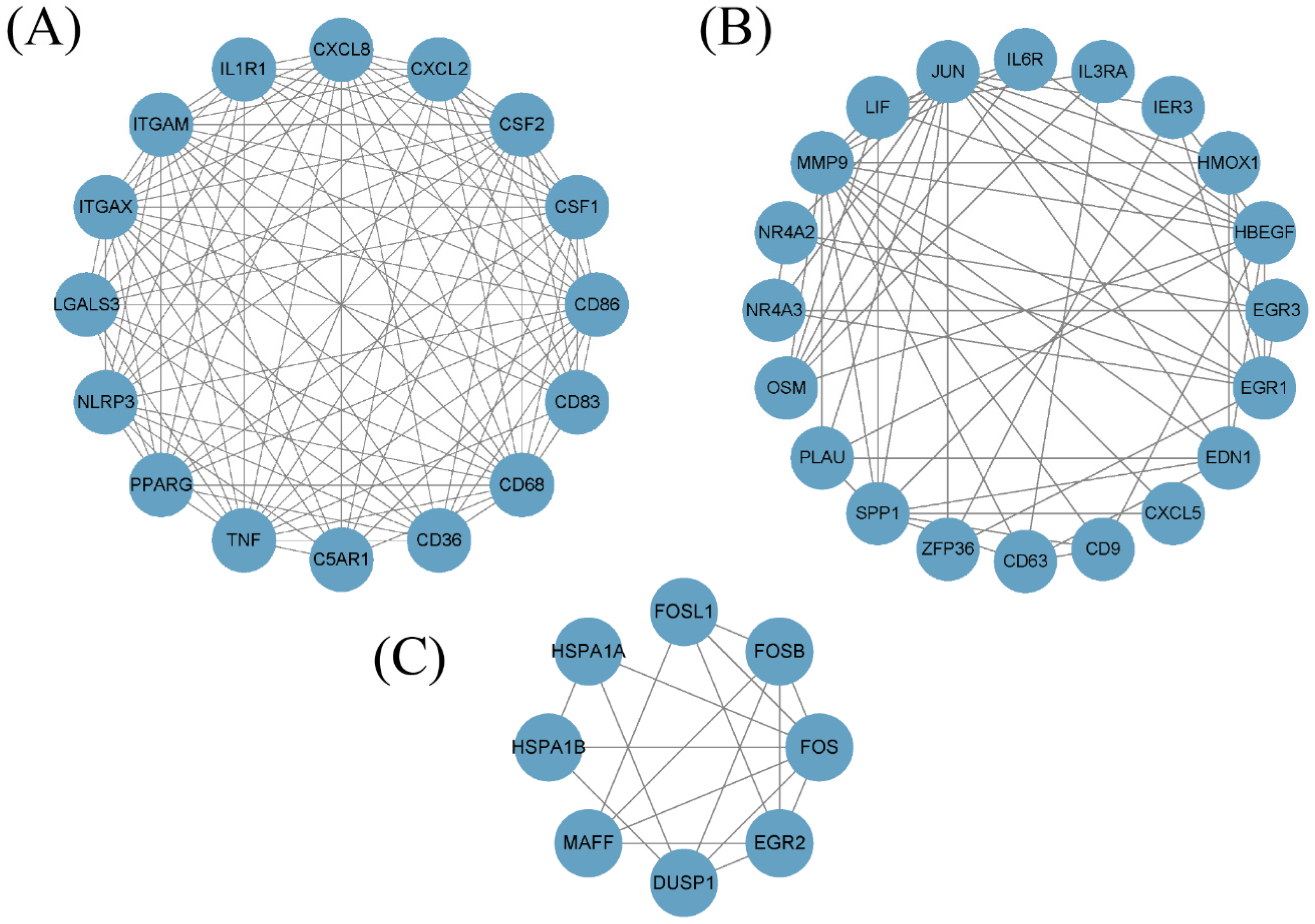 Diagnostics 13 03542 g003