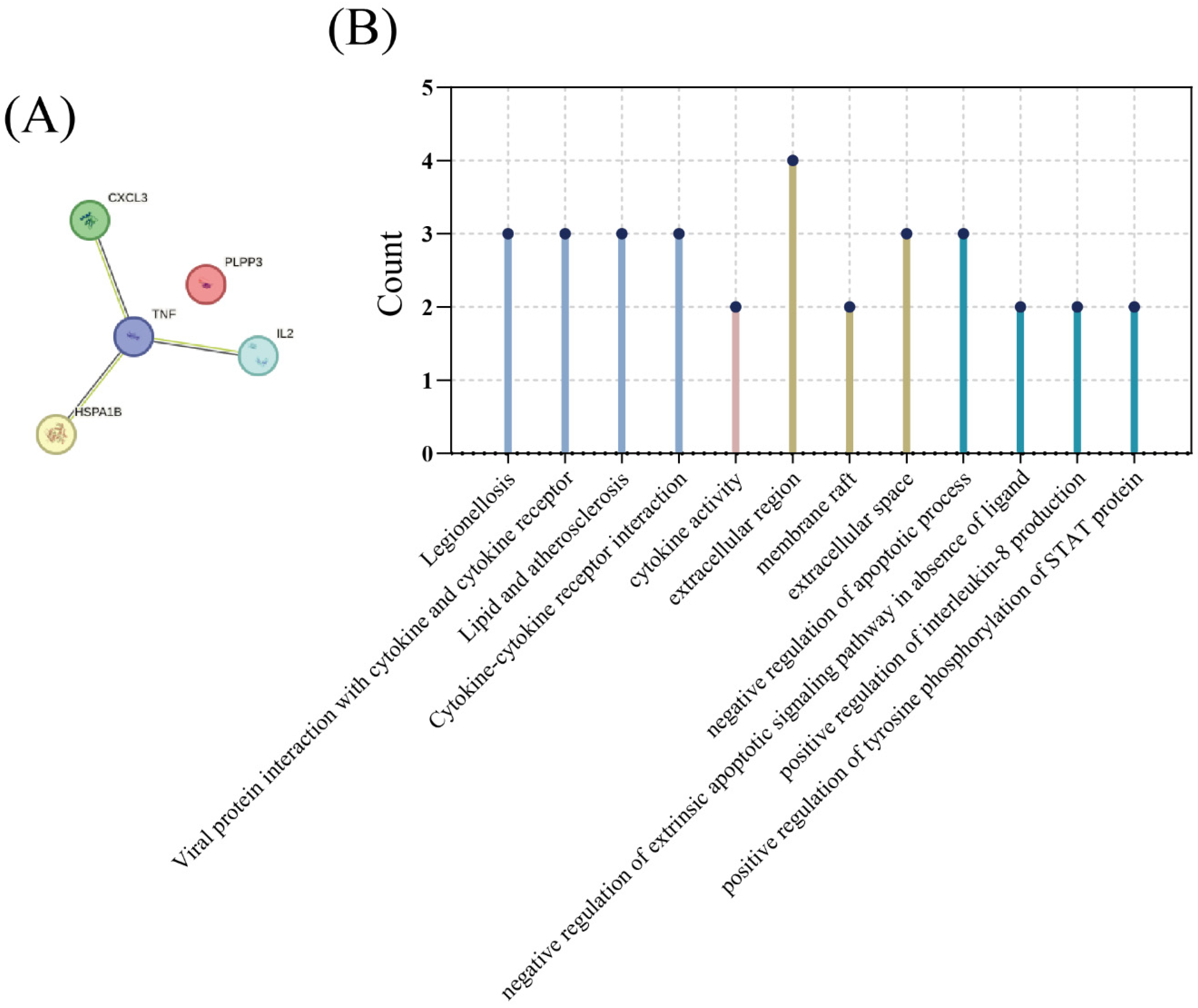 Diagnostics 13 03542 g009