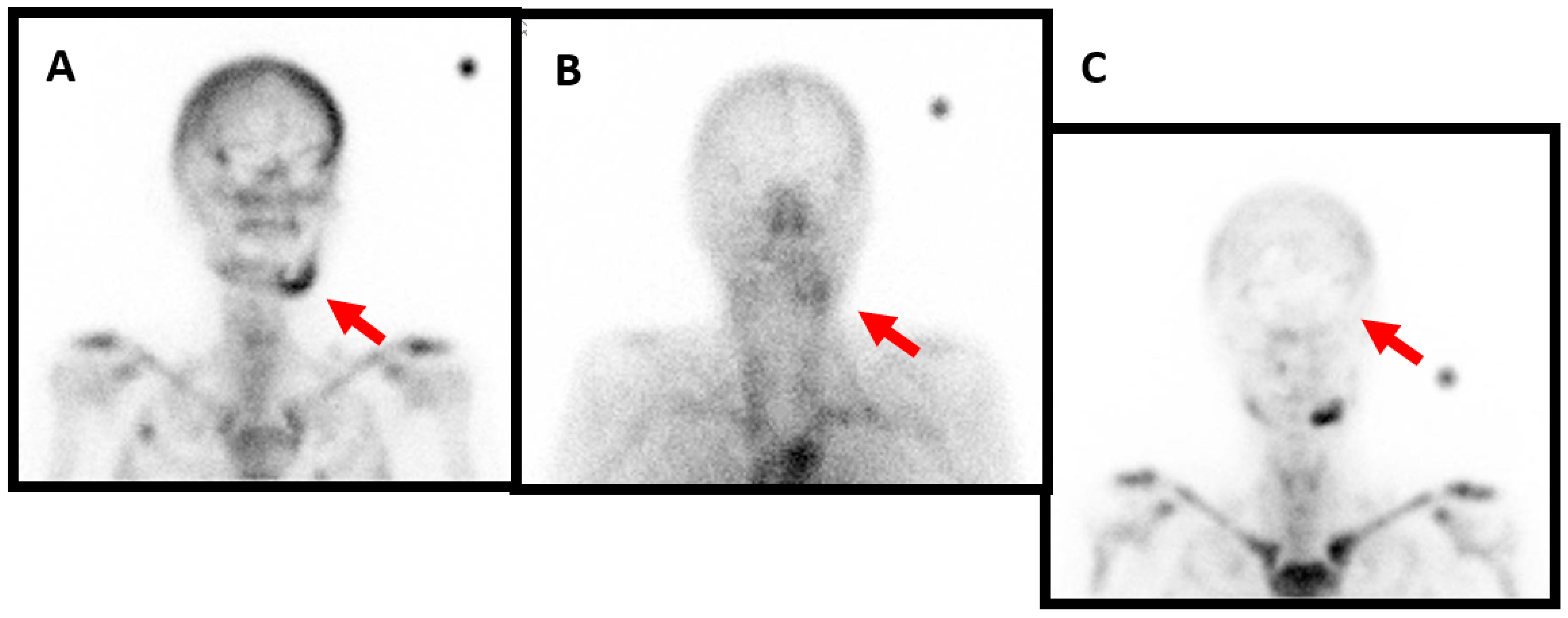 Diagnostics 13 03571 g003