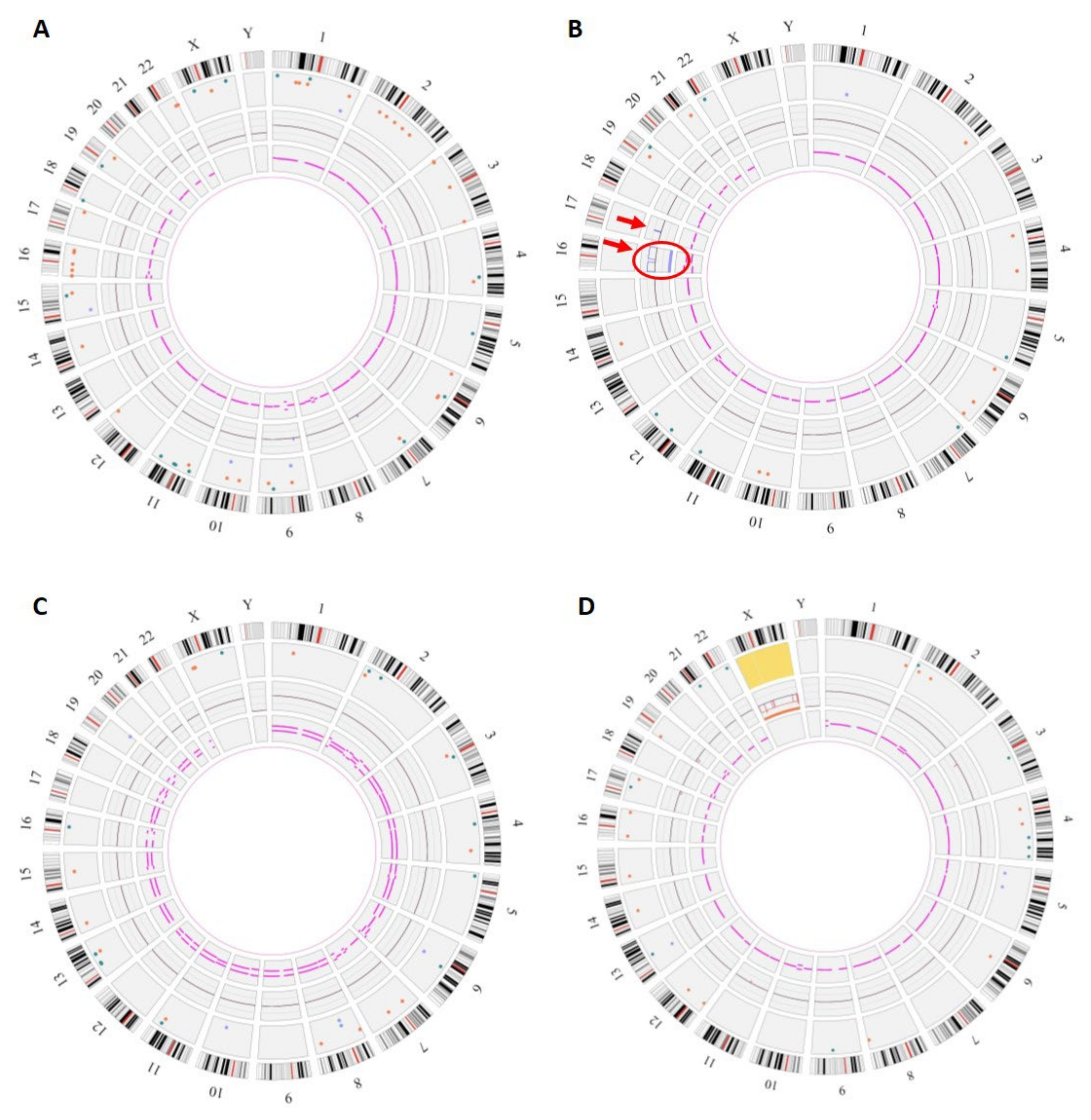 Diagnostics 13 03576 g002