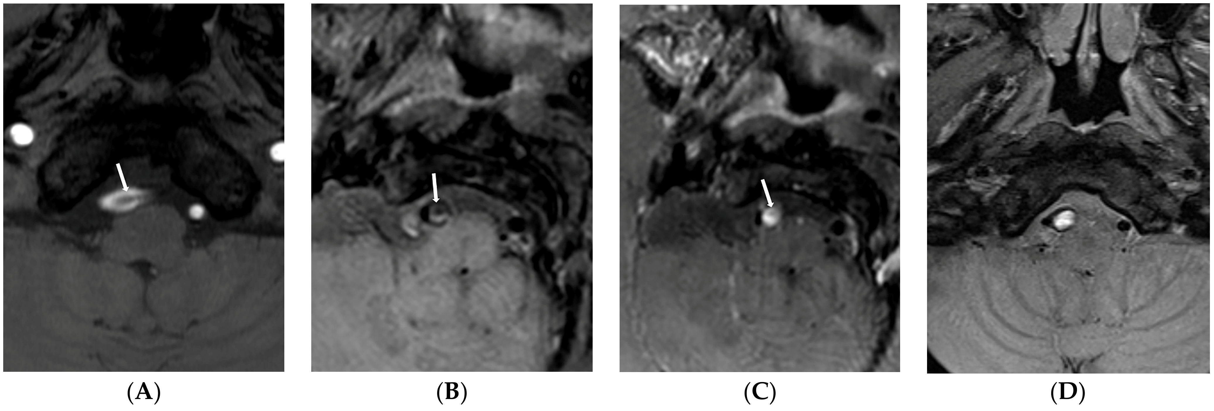 Diagnostics 13 03585 g002