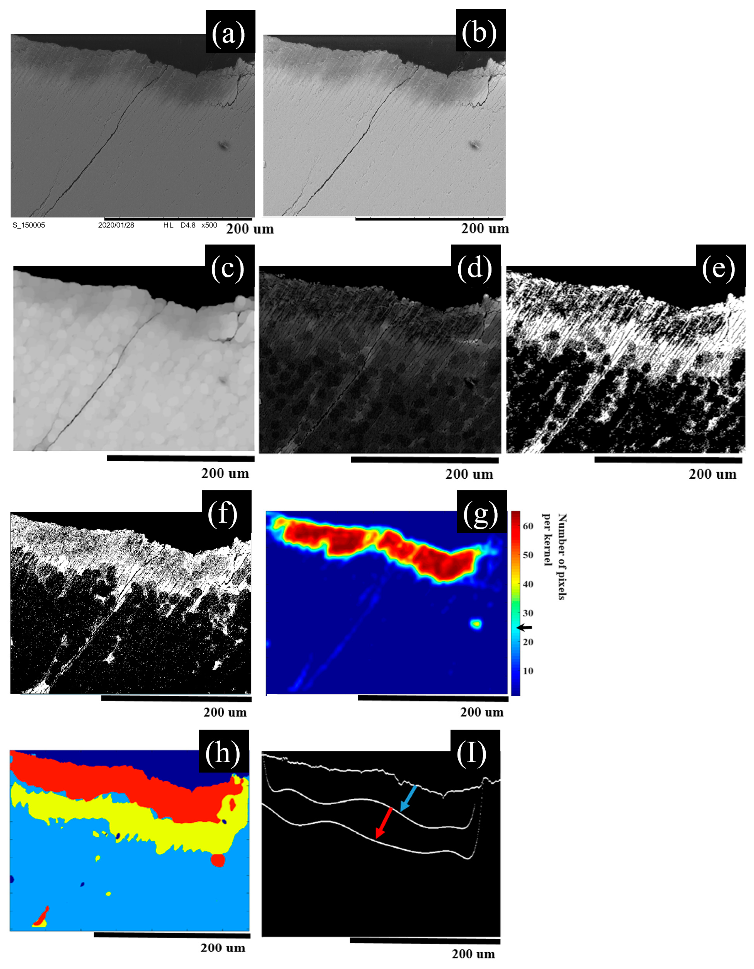 Diagnostics 13 03586 g002