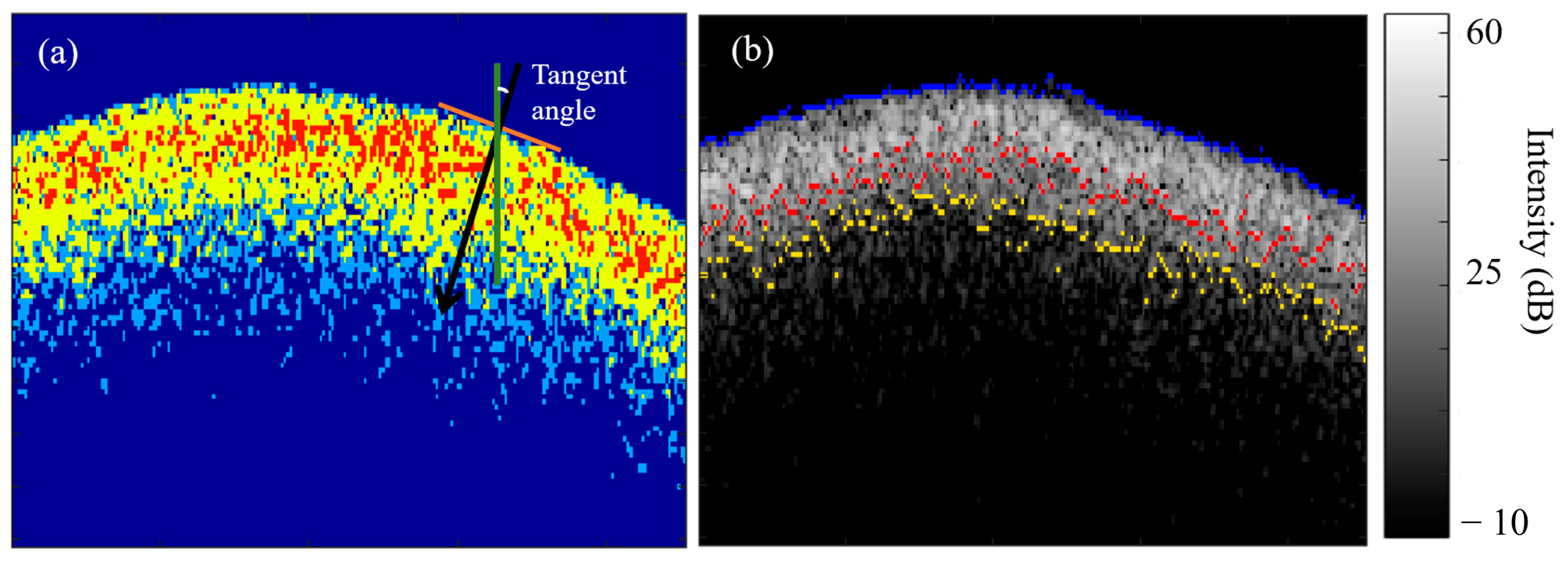 Diagnostics 13 03586 g005