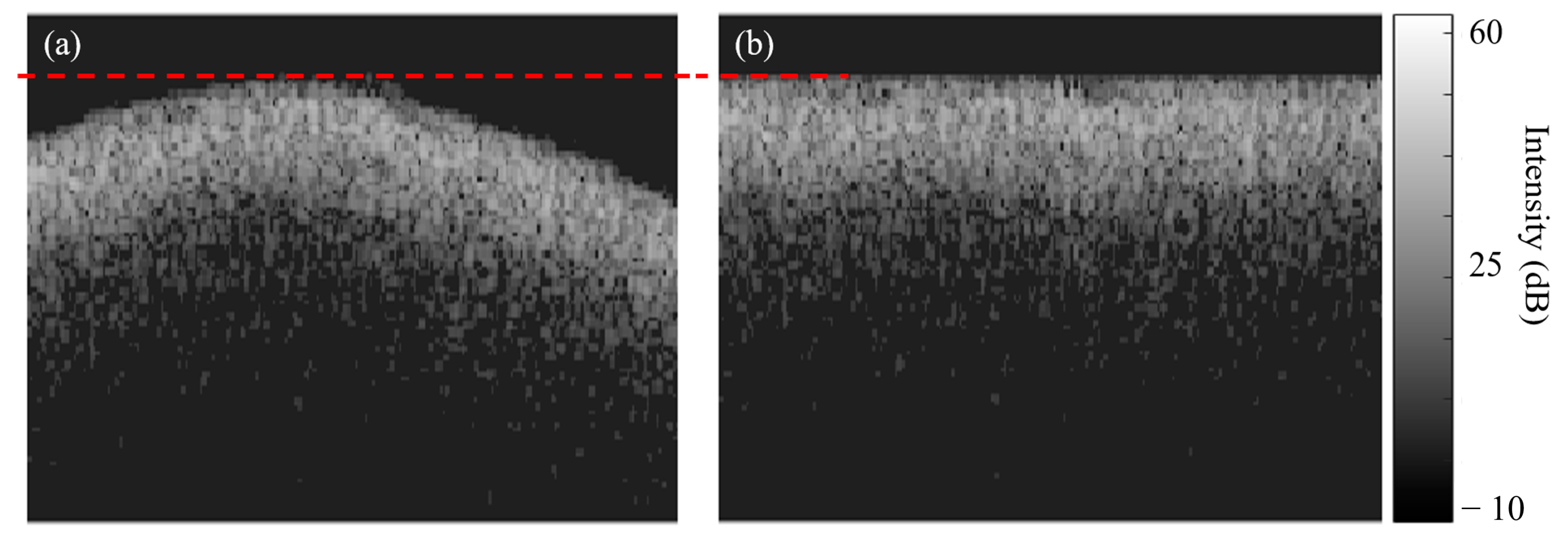 Diagnostics 13 03586 g006