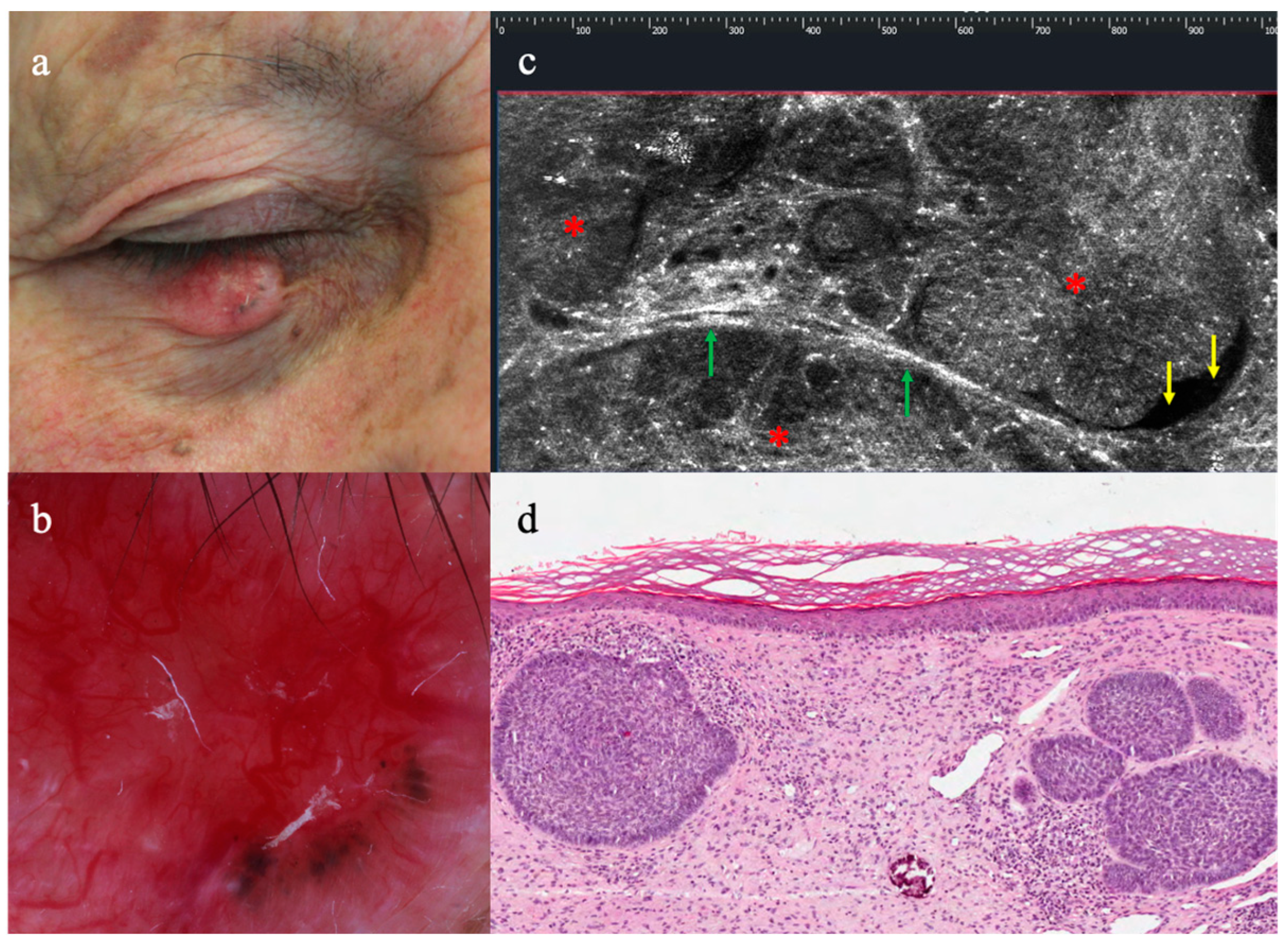 Diagnostics 13 03590 g001 Diagnostics 13 03590 g001