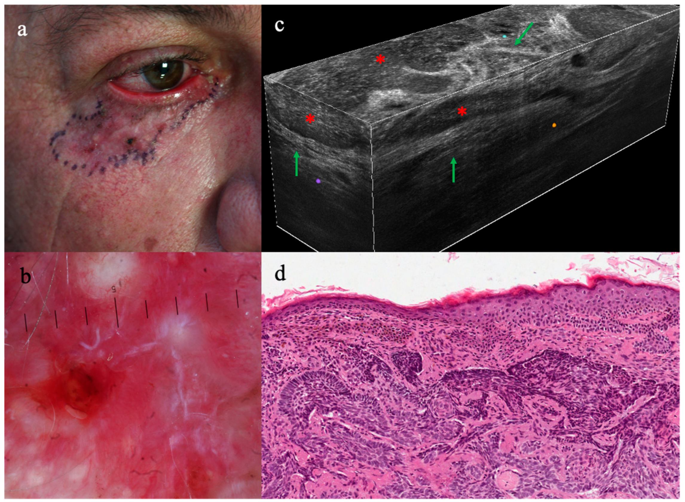 Diagnostics 13 03590 g002 Diagnostics 13 03590 g002