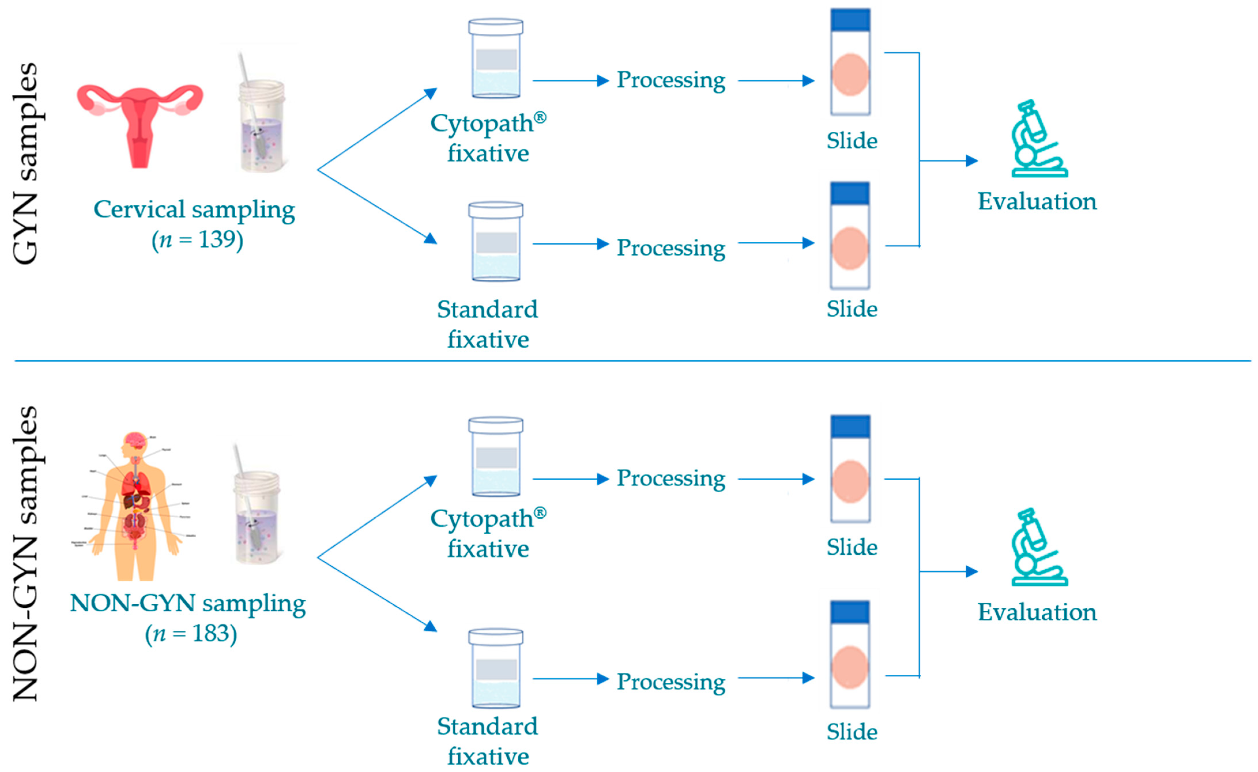 Diagnostics Free FullText Evaluation of a Novel Fixative Solution