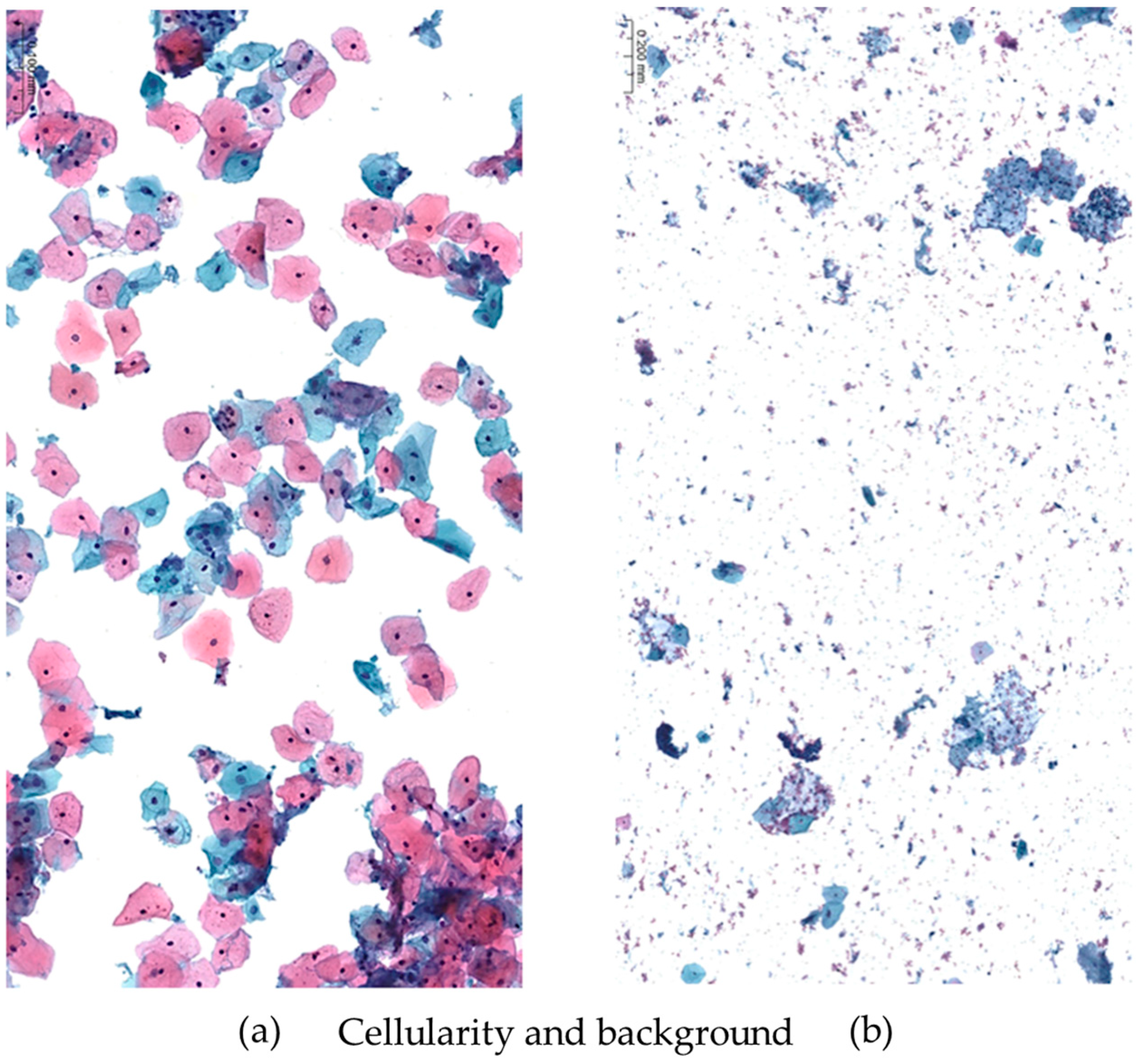 Fisherbrand SlideRite Cytology Fixative 2 oz.:Histology and Cytology,  Quantity