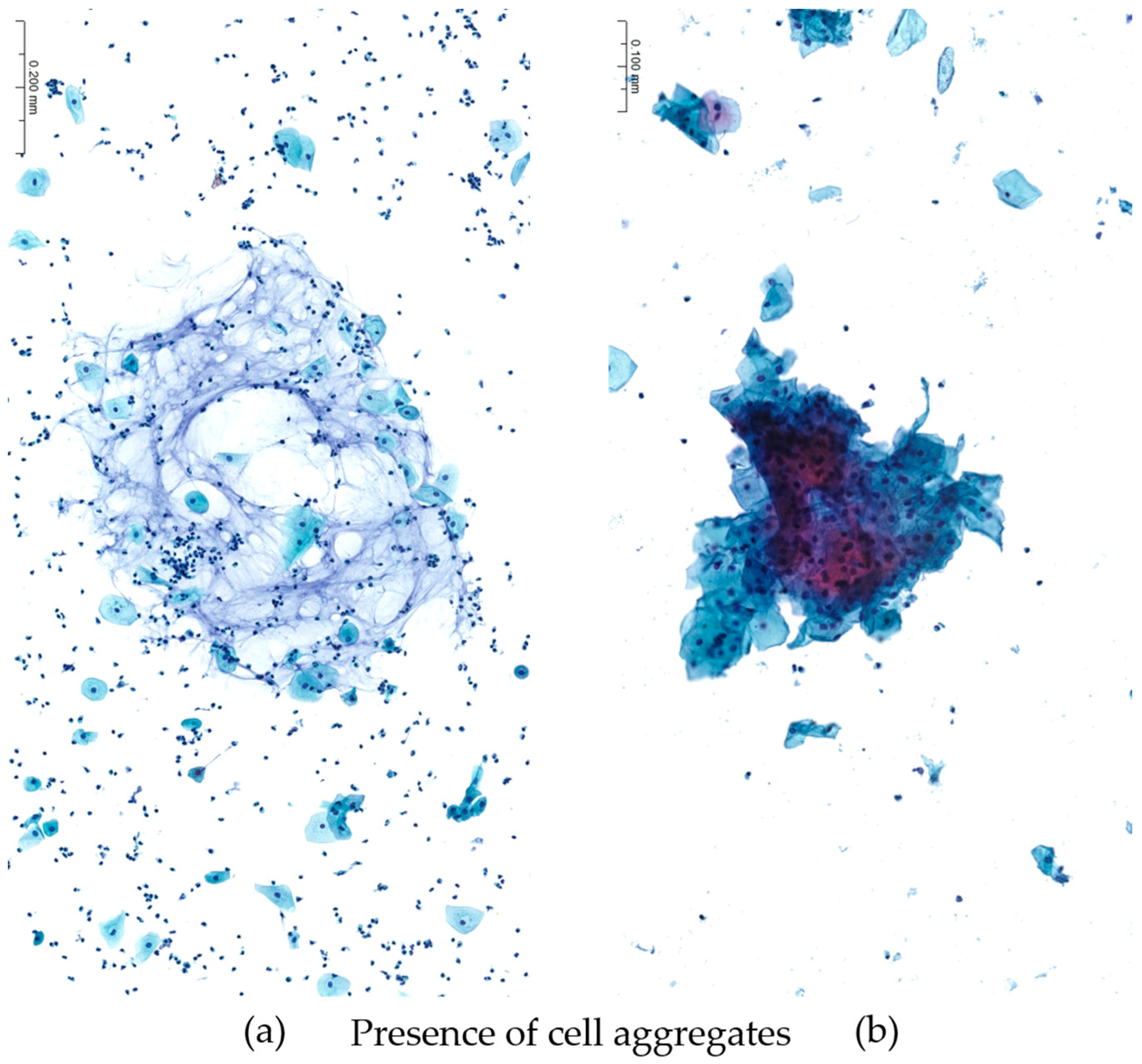 Diagnostics 13 03601 g003