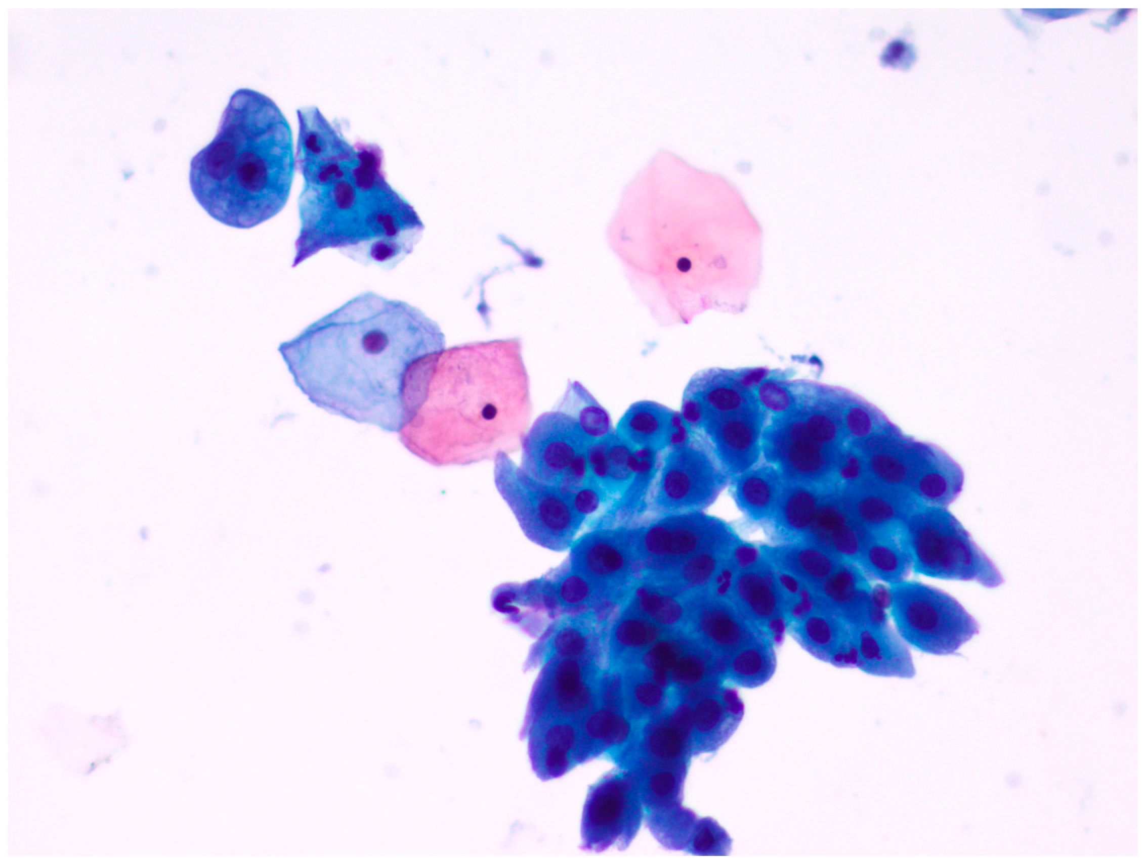 Diagnostics 13 03601 g006