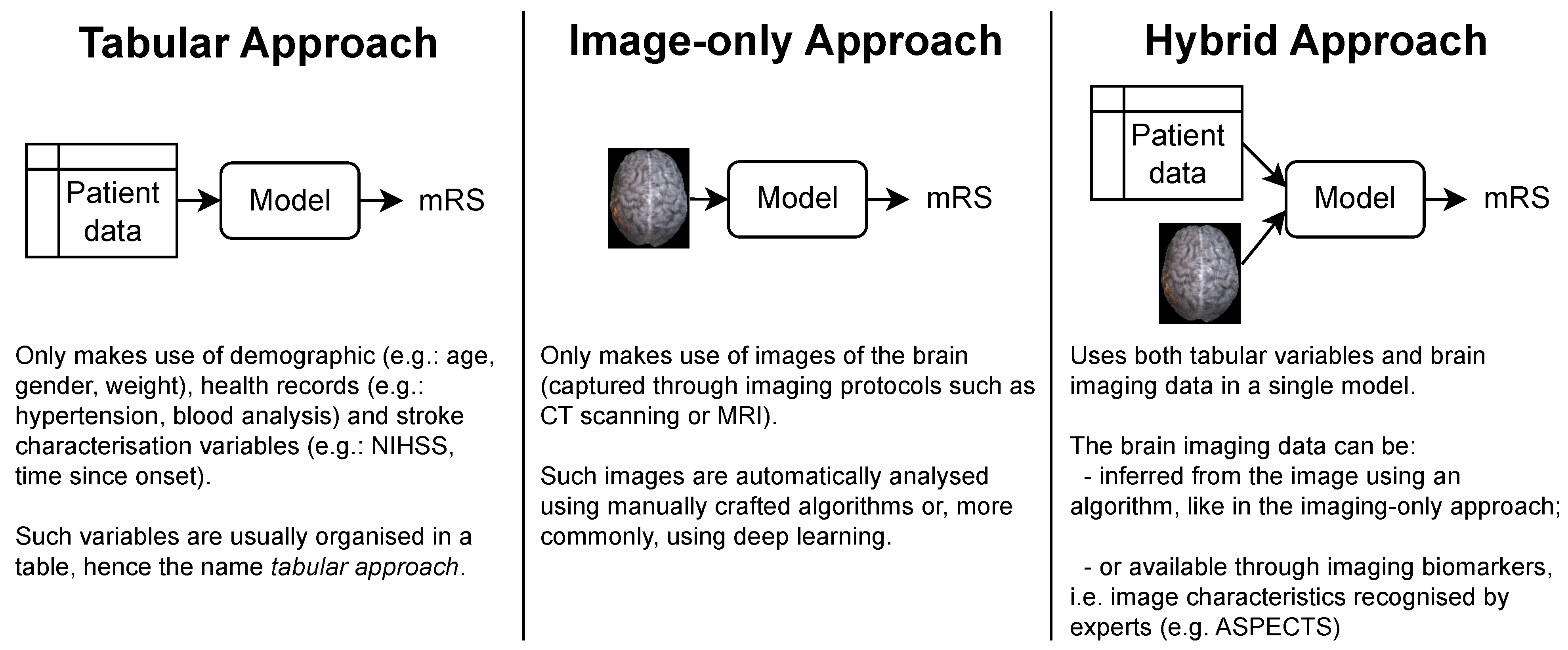 Diagnostics 13 03604 g001