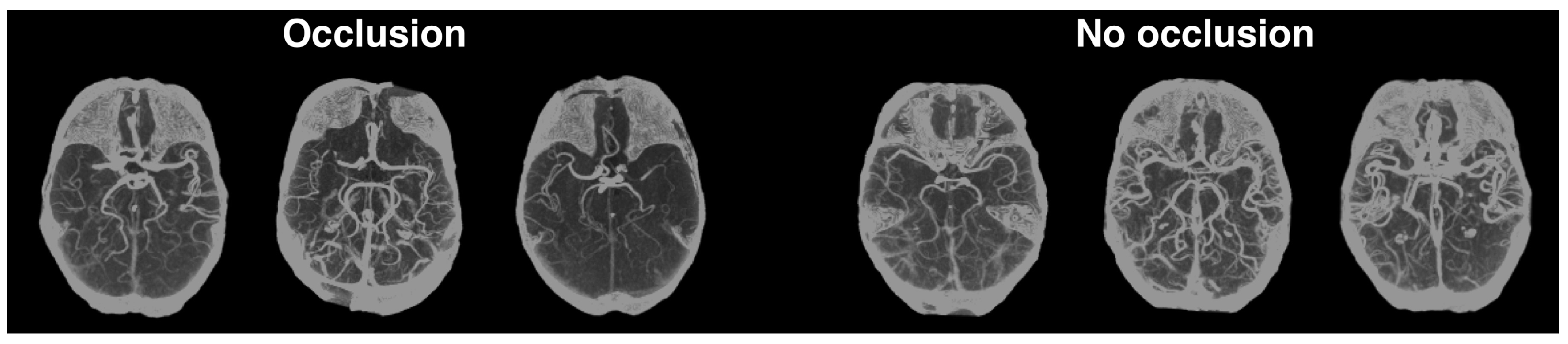 Diagnostics 13 03604 g007