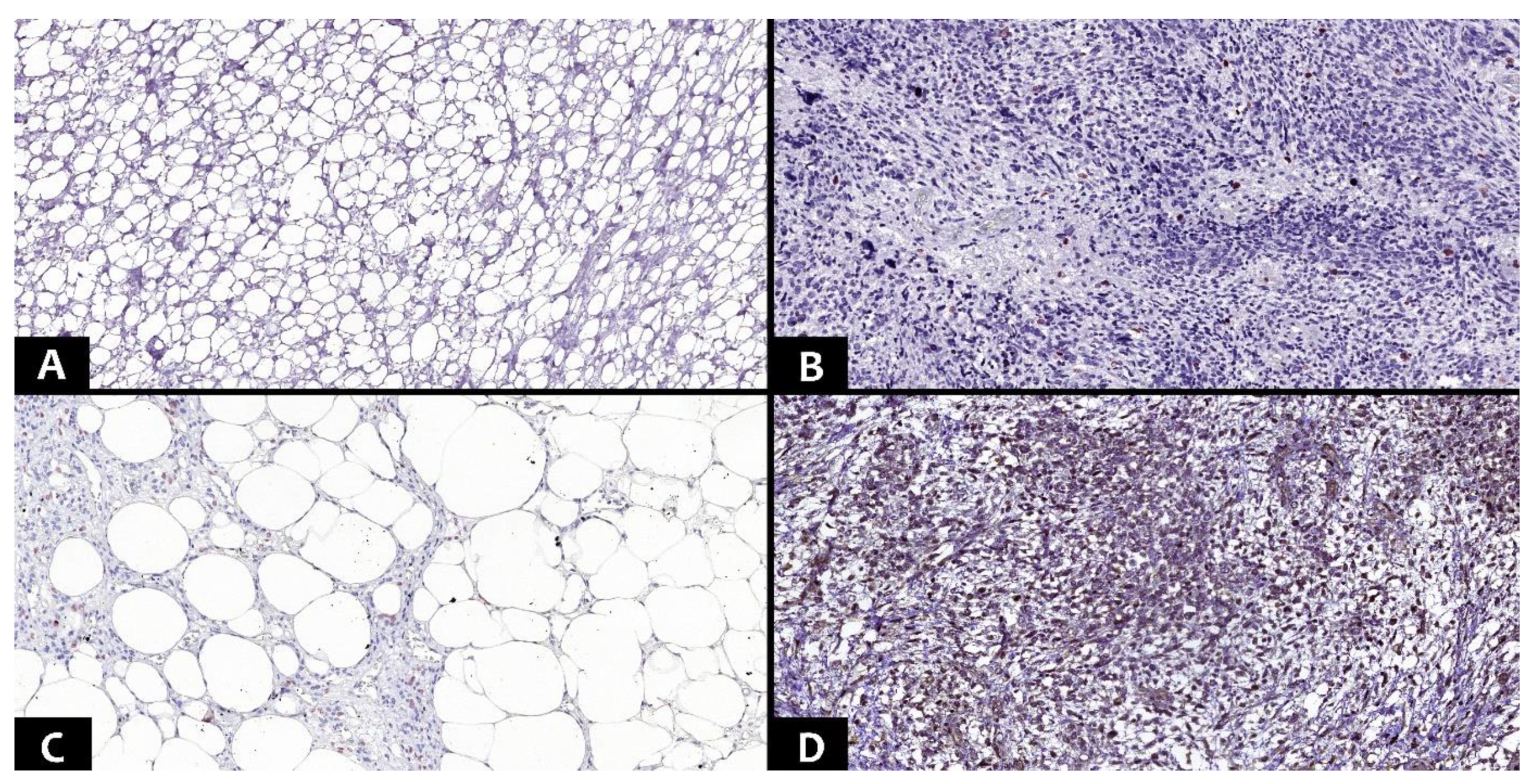 Diagnostics 13 03606 g003