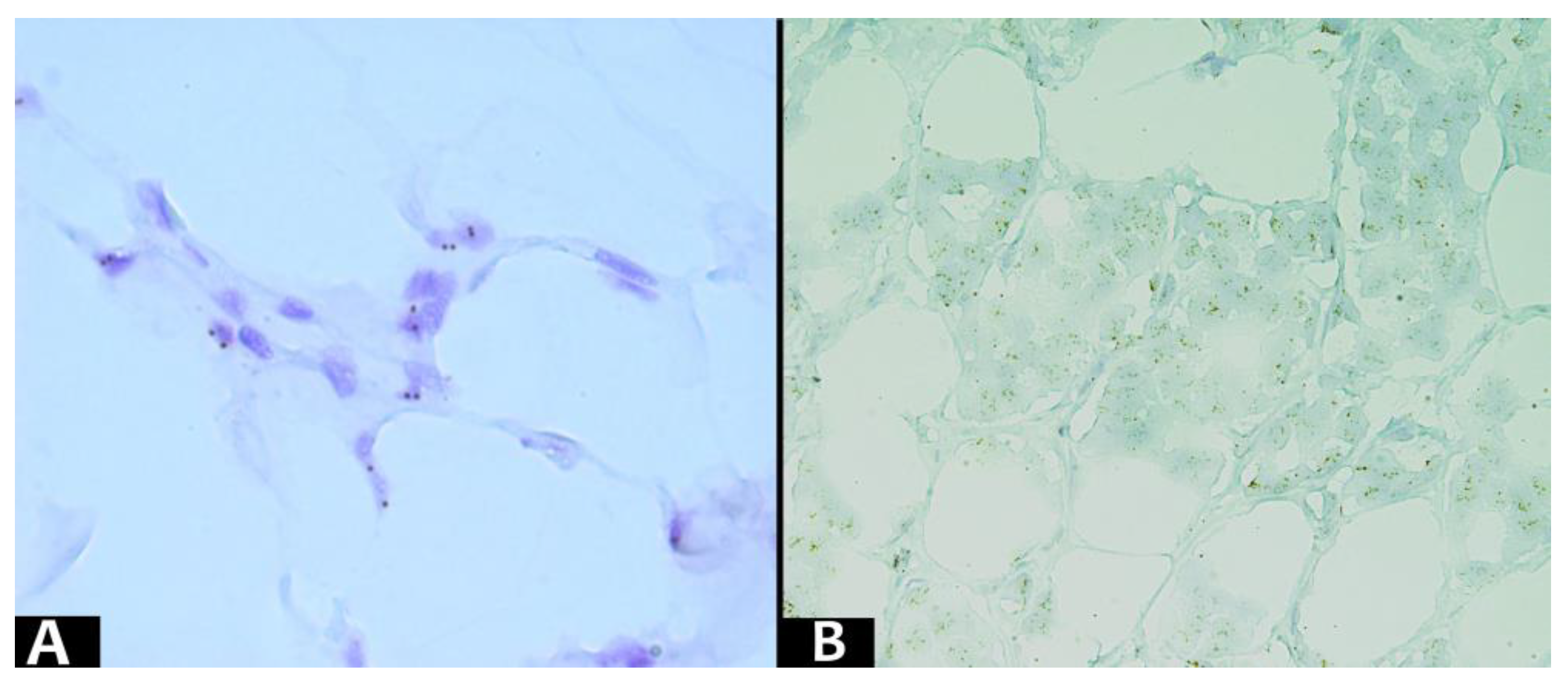 Diagnostics 13 03606 g005