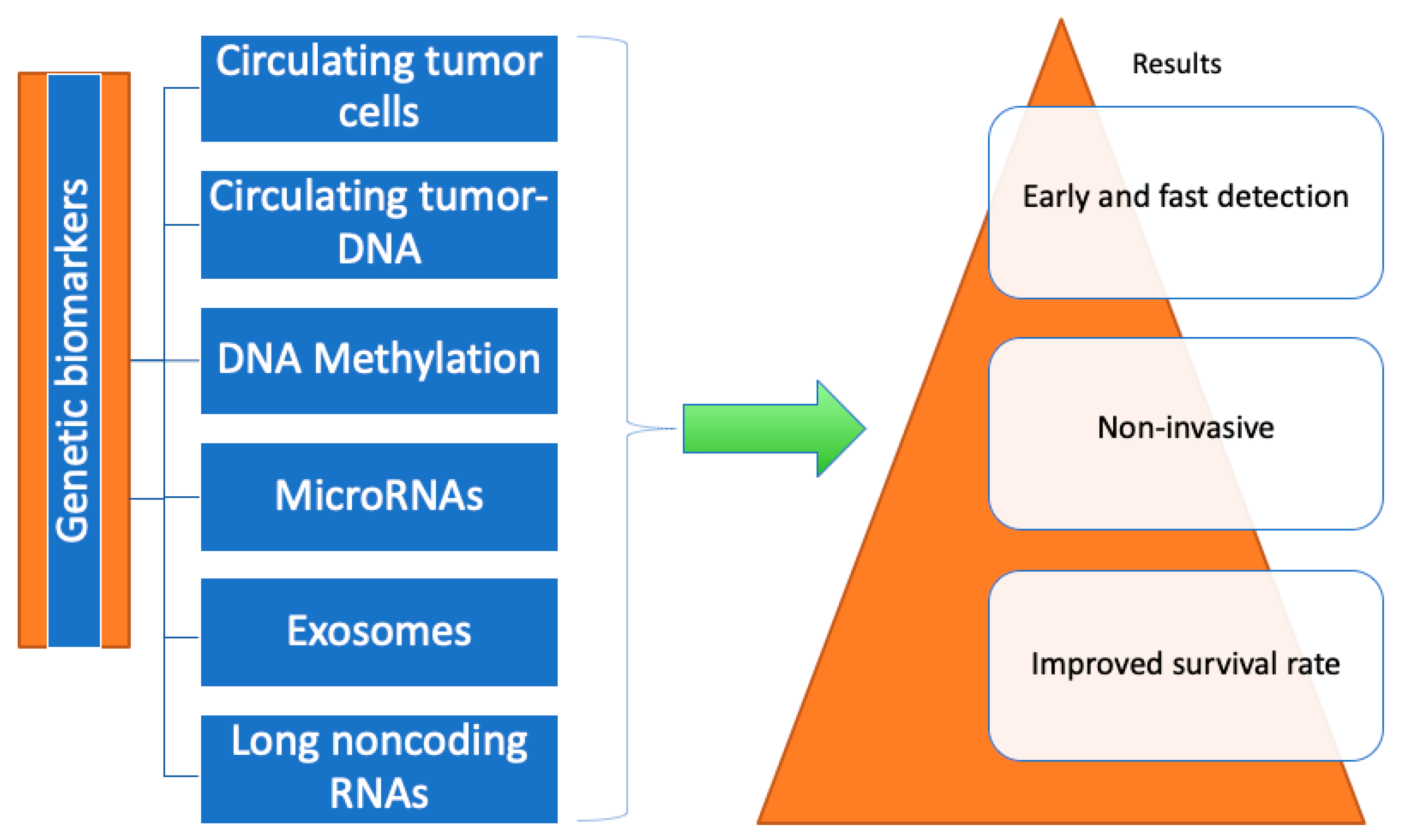 Diagnostics 13 03608 g002 Diagnostics 13 03608 g002