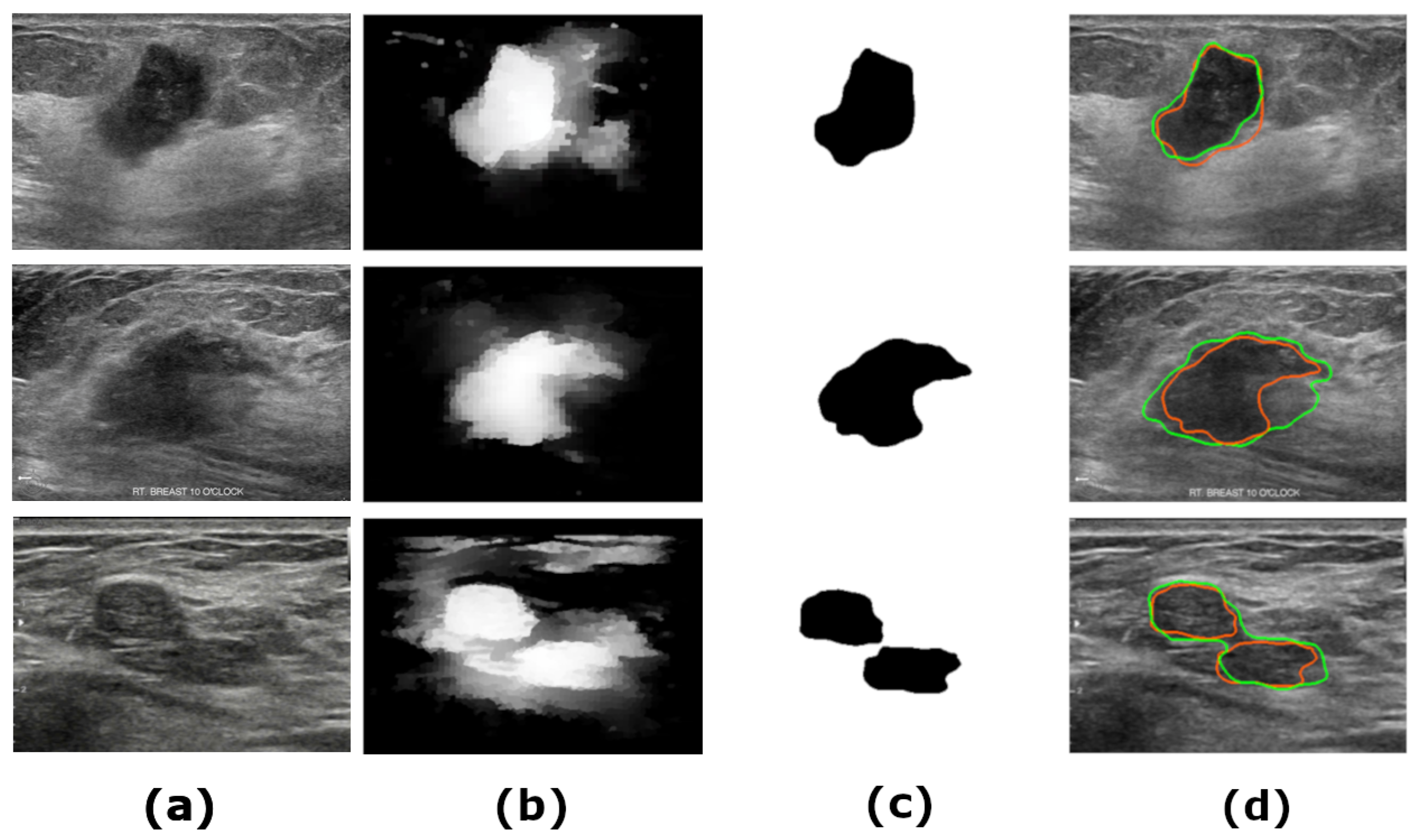 Diagnostics 13 03611 g001