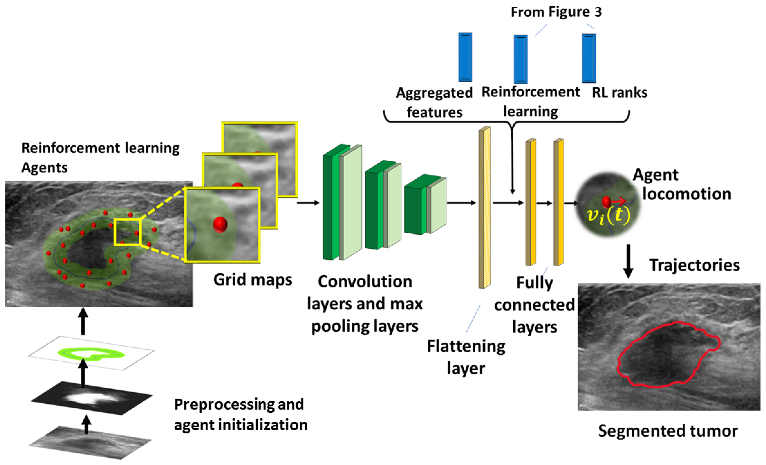 Diagnostics 13 03611 g004