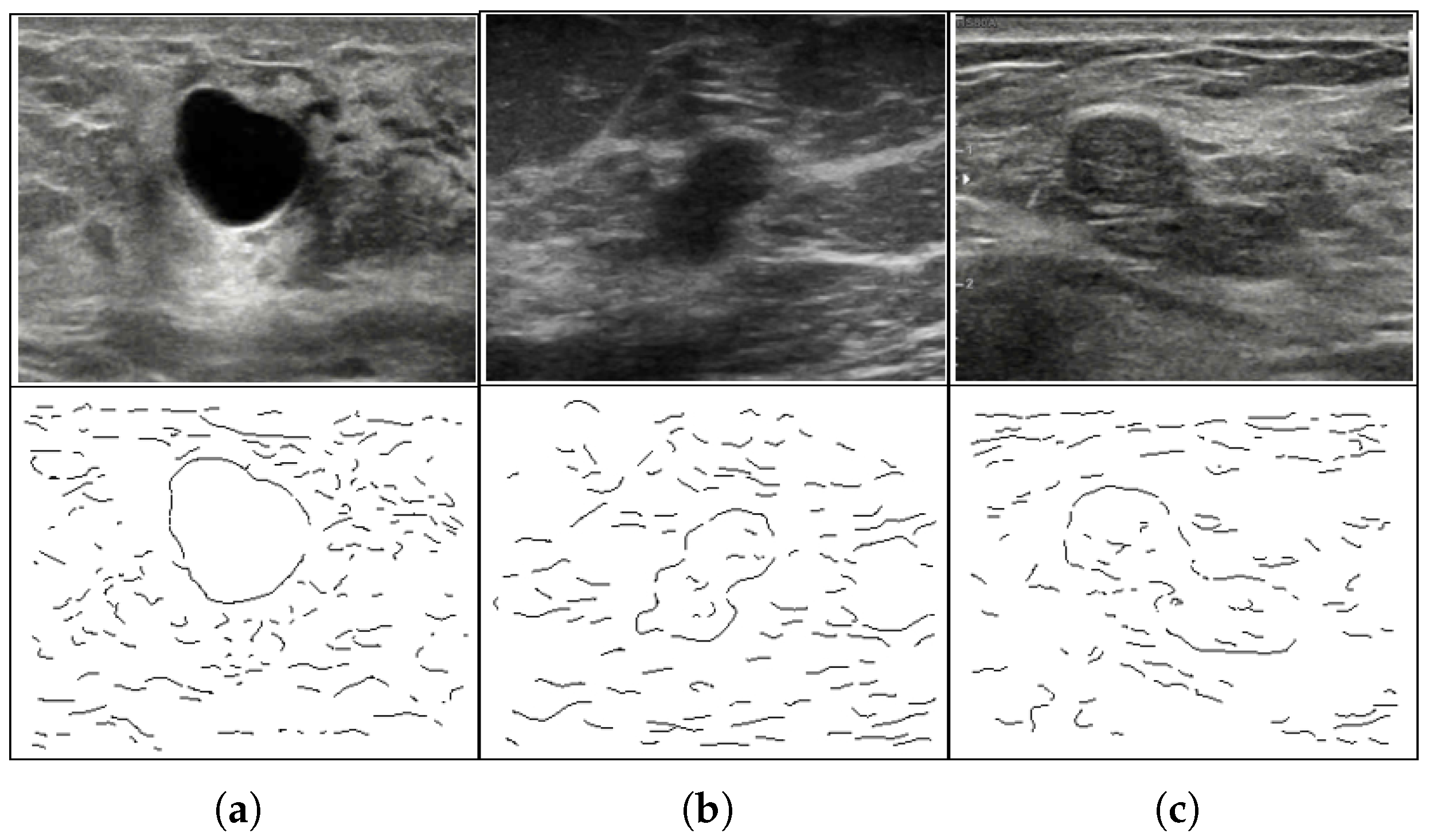Diagnostics 13 03611 g006