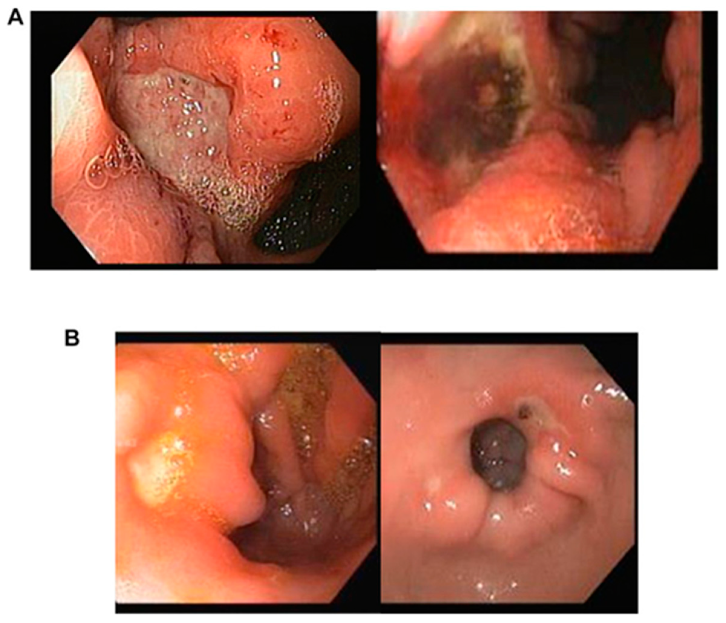 Diagnostics 13 03613 g002