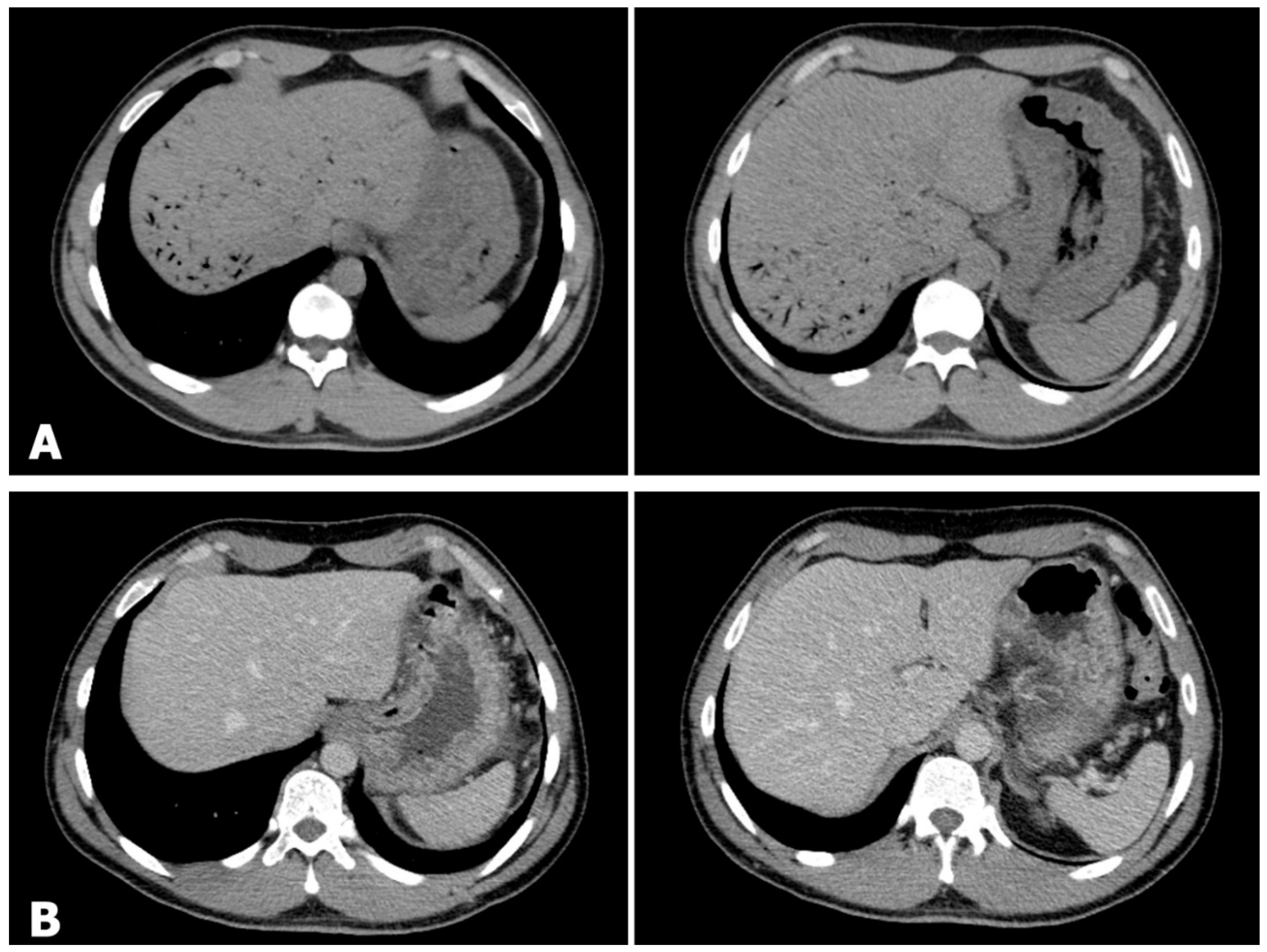 Diagnostics 13 03615 g003