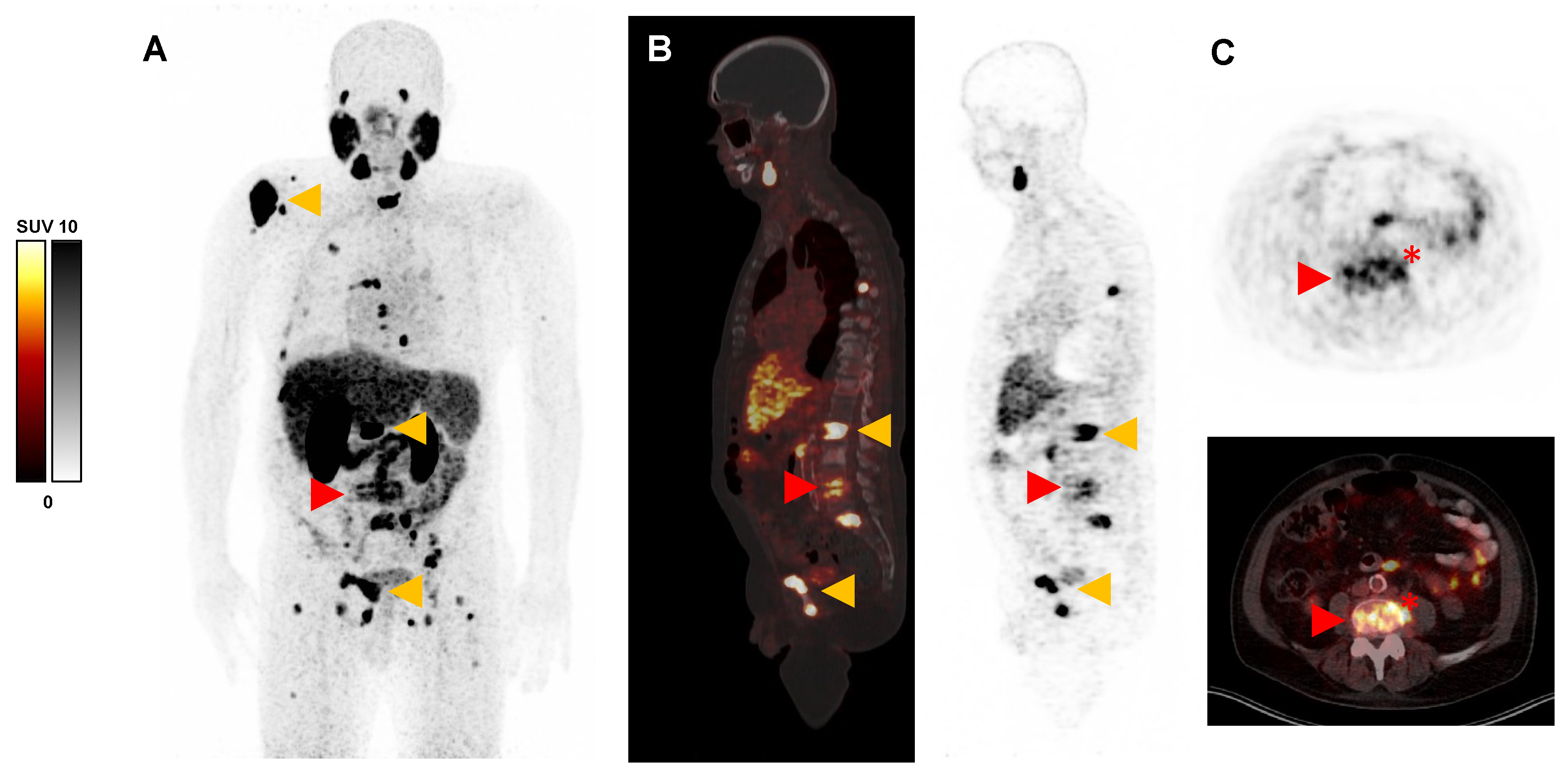 Diagnostics 13 03616 g001