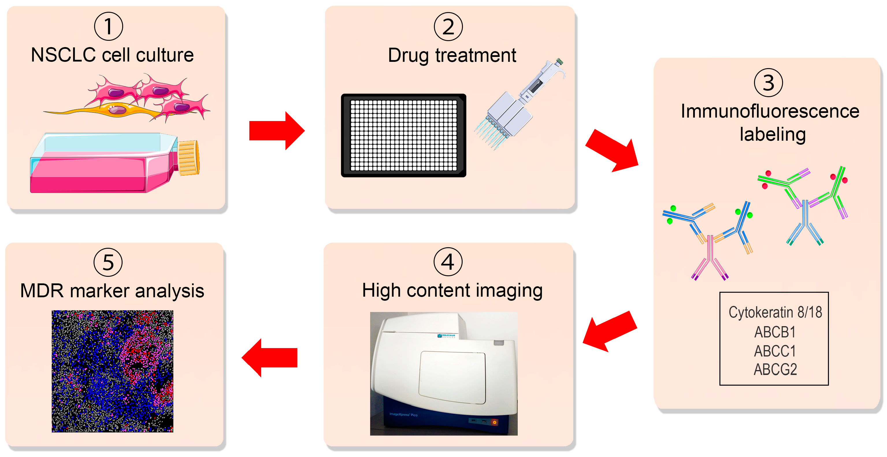 Diagnostics 13 03617 g001