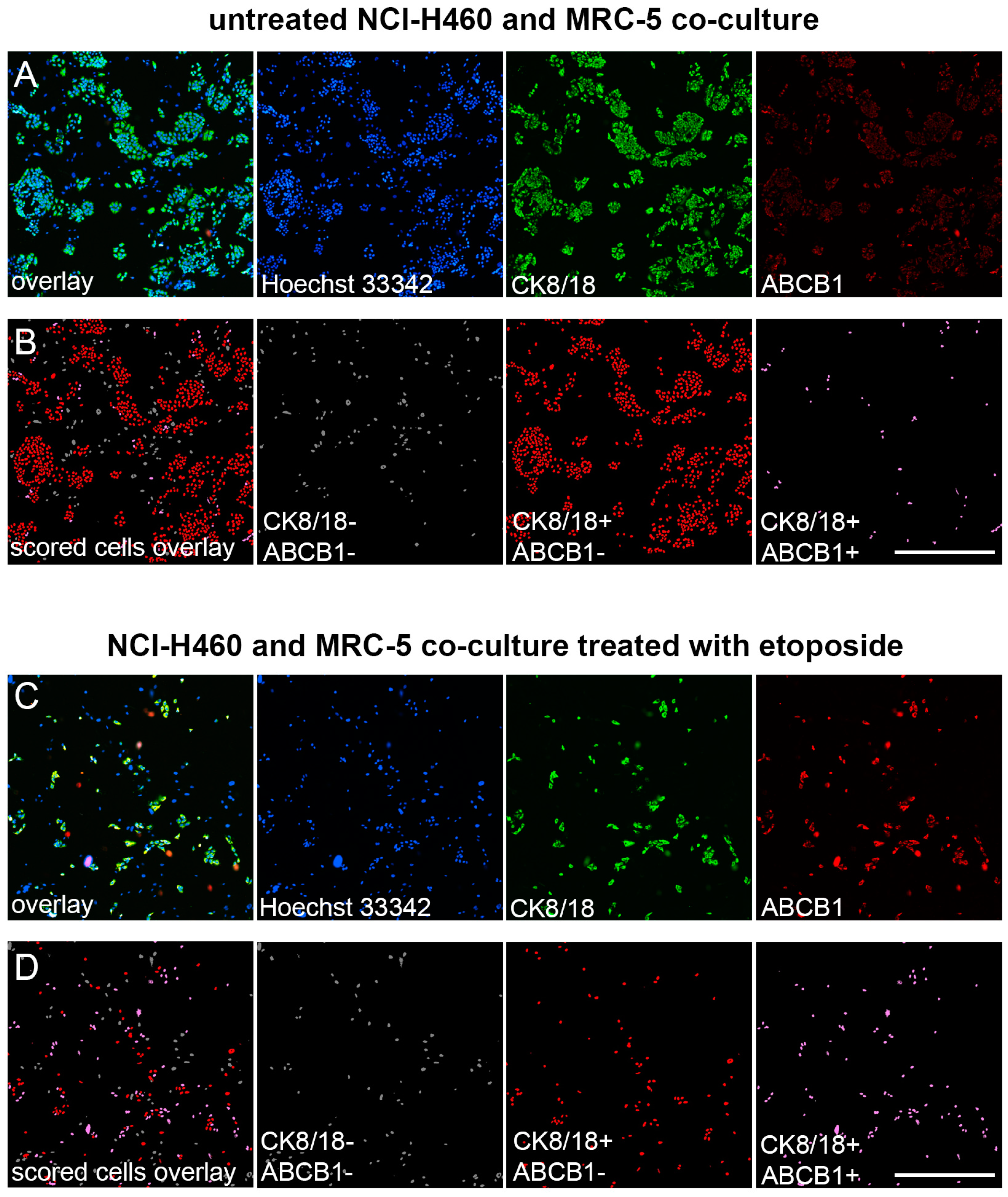 Diagnostics 13 03617 g003