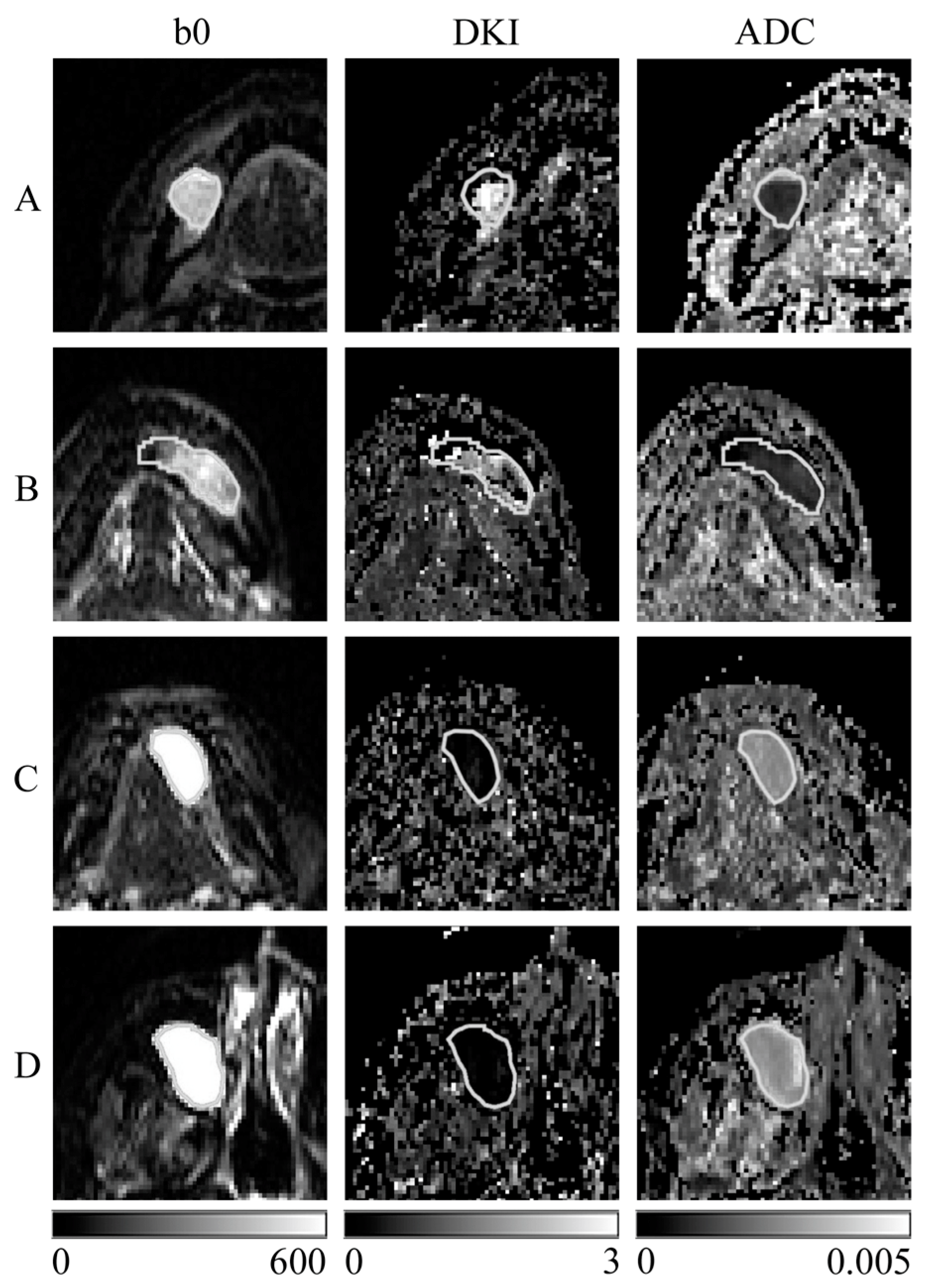 Diagnostics 13 03619 g001