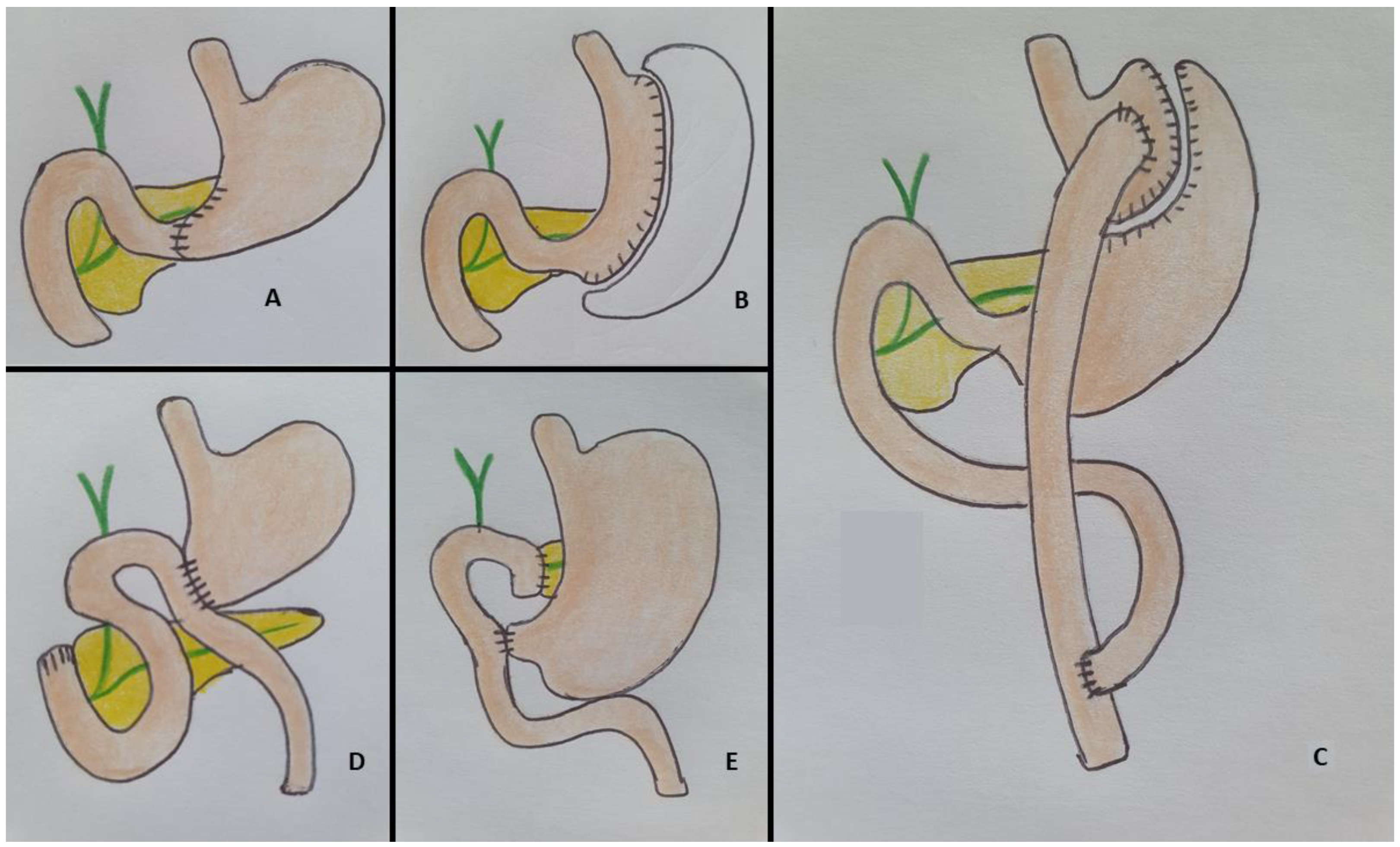 Diagnostics 13 03623 g001