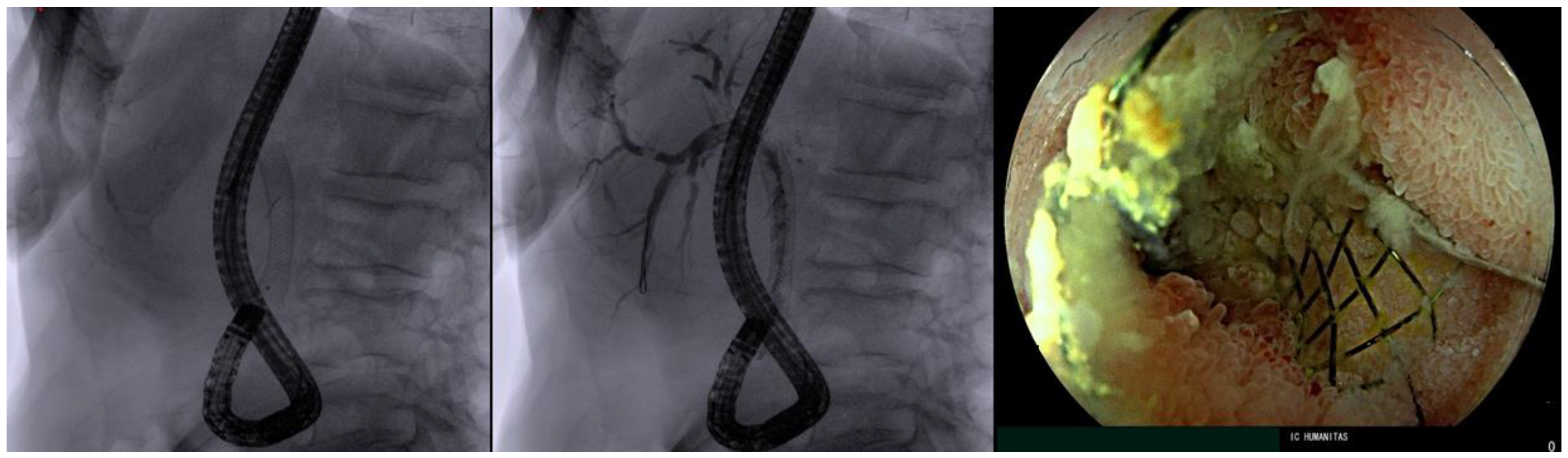 Diagnostics 13 03623 g002