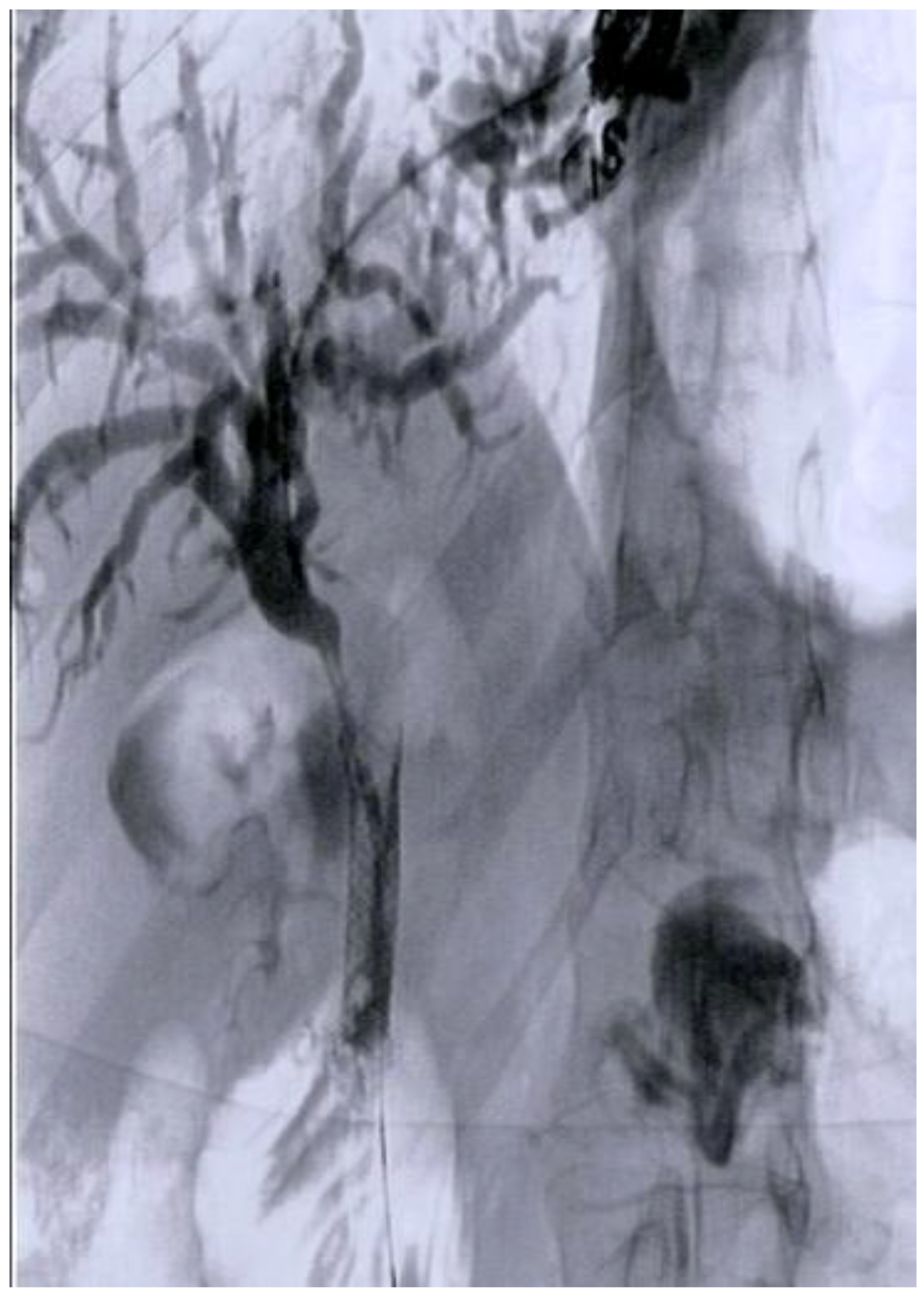 Diagnostics 13 03623 g003