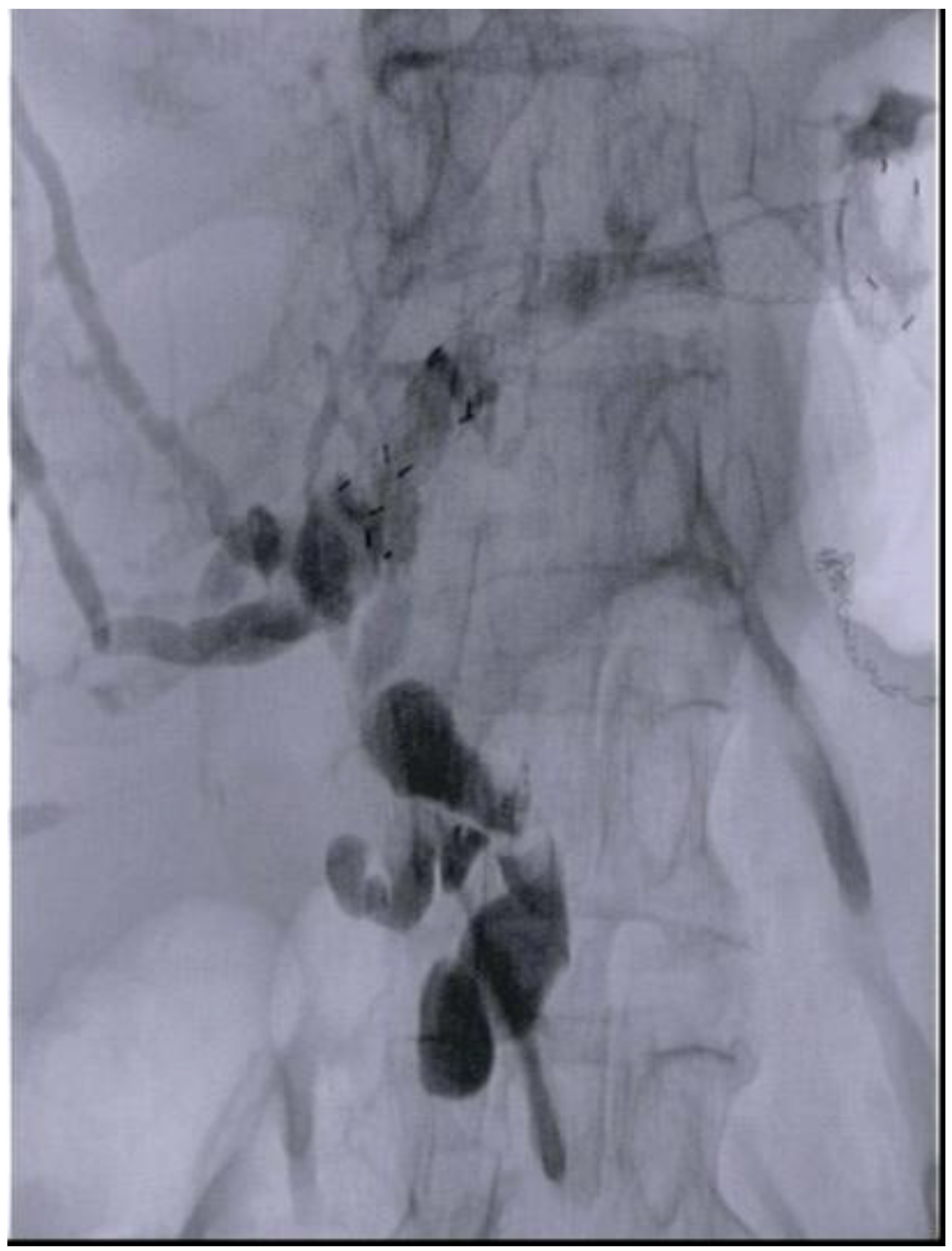 Diagnostics 13 03623 g004