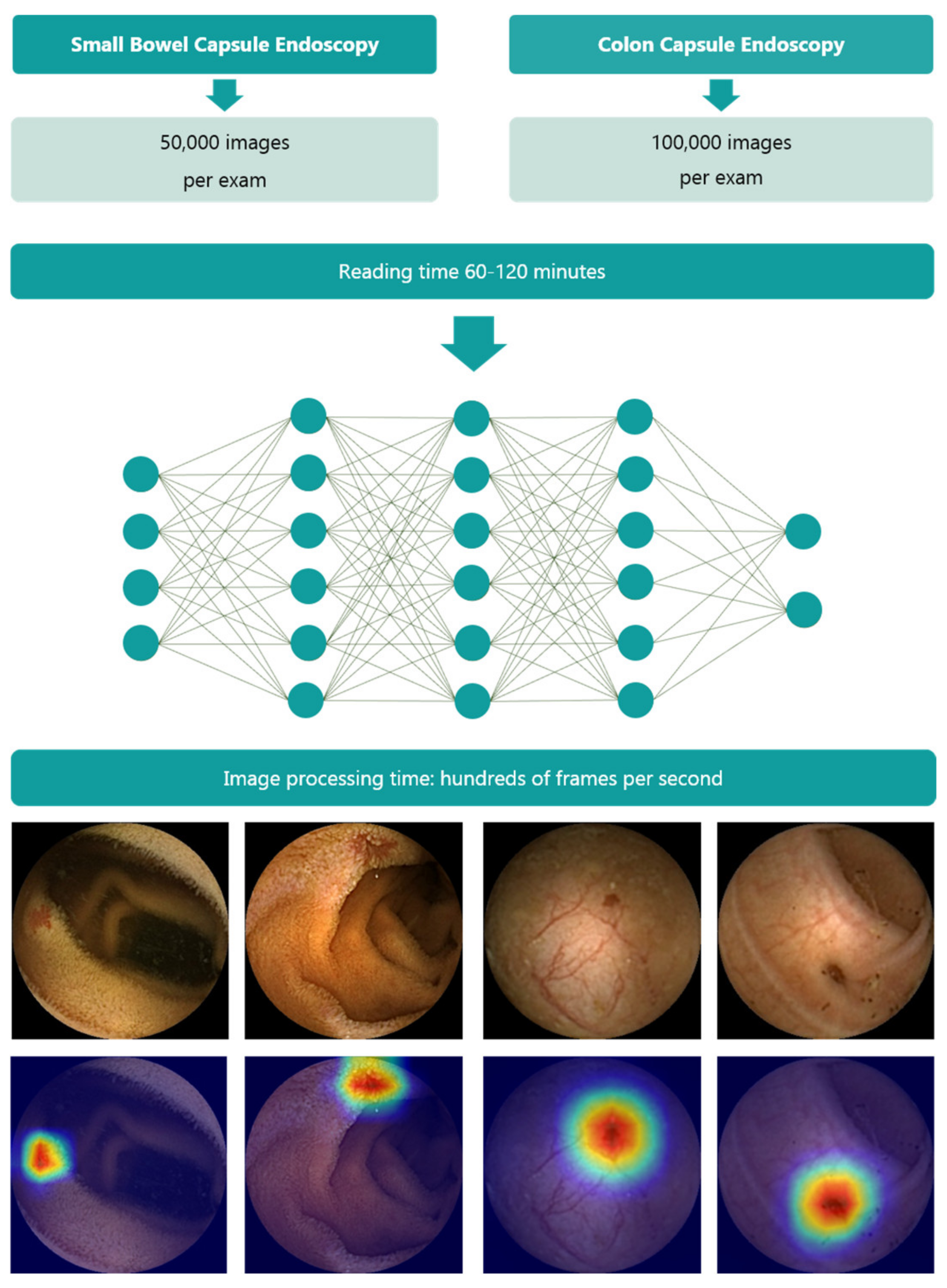 Diagnostics 13 03625 g002
