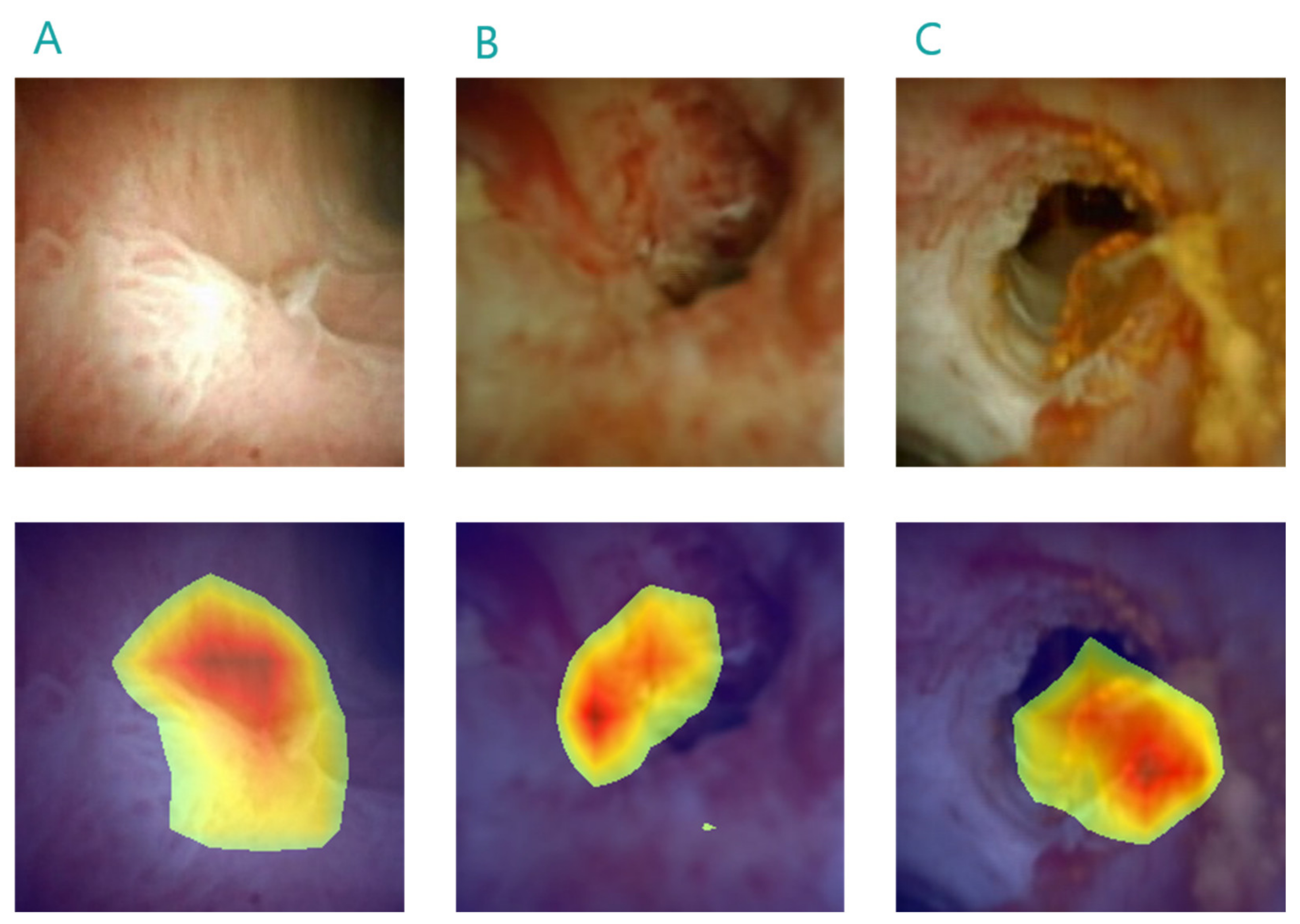 Diagnostics 13 03625 g003