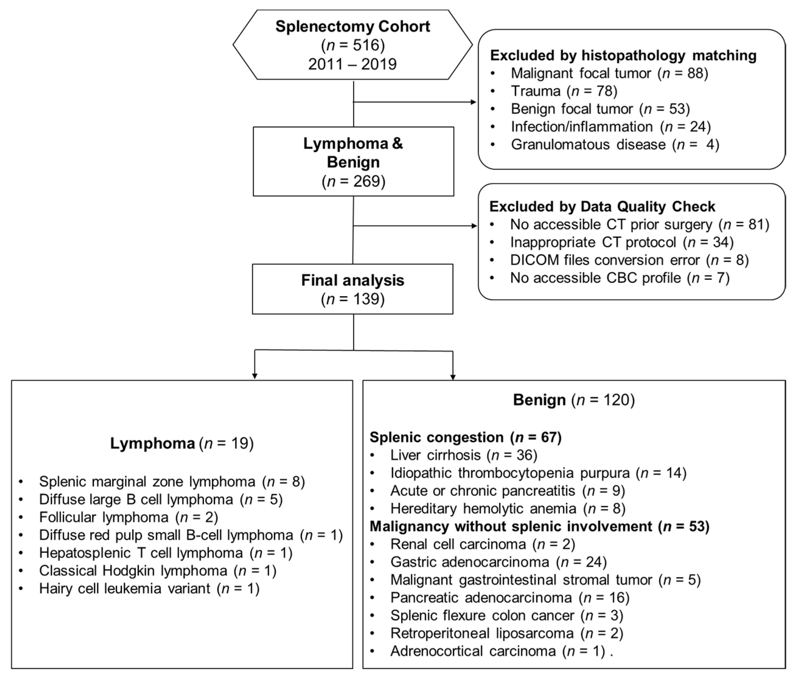 Diagnostics 13 03632 g001