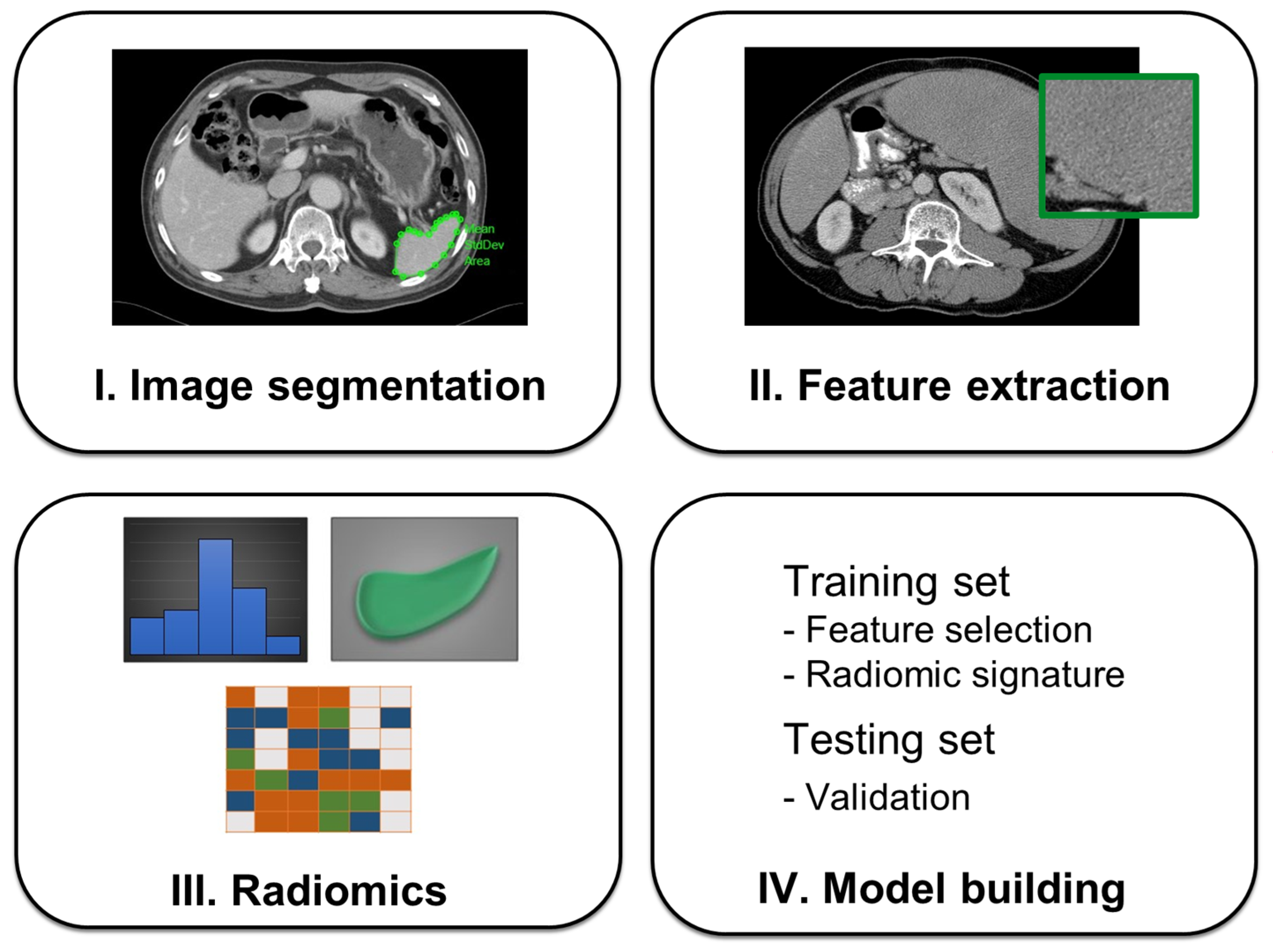 Diagnostics 13 03632 g002