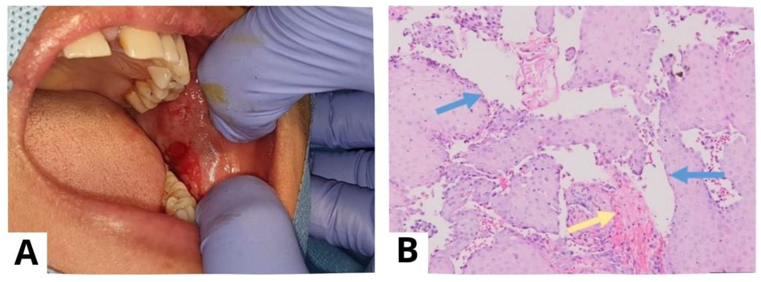 Diagnostics 13 03633 g007