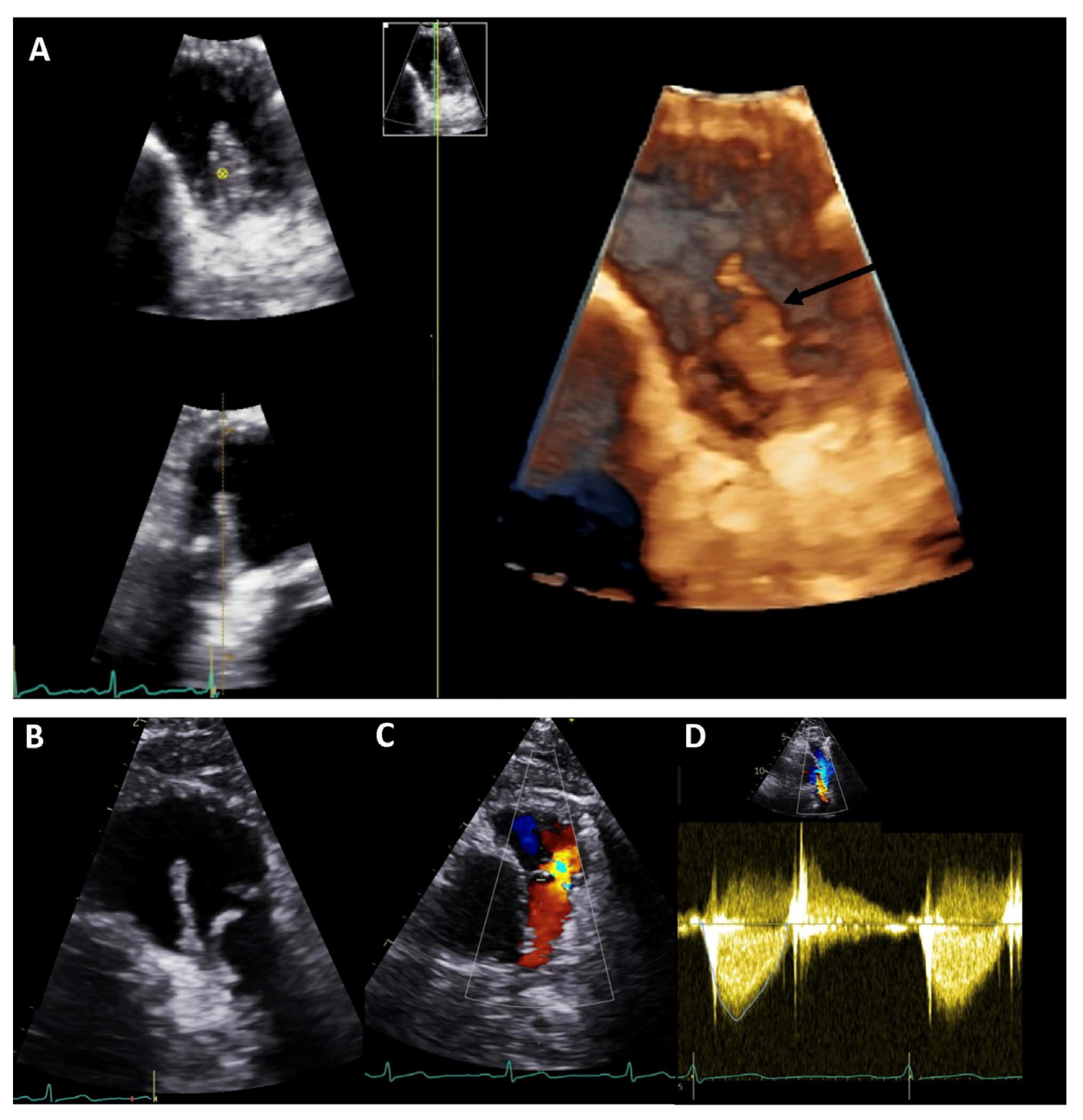 Diagnostics 13 03638 g001