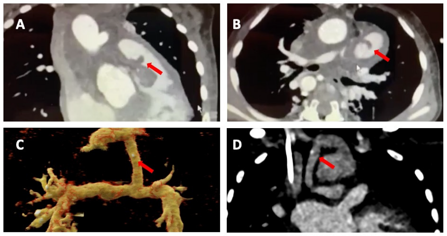 Diagnostics 13 03638 g003