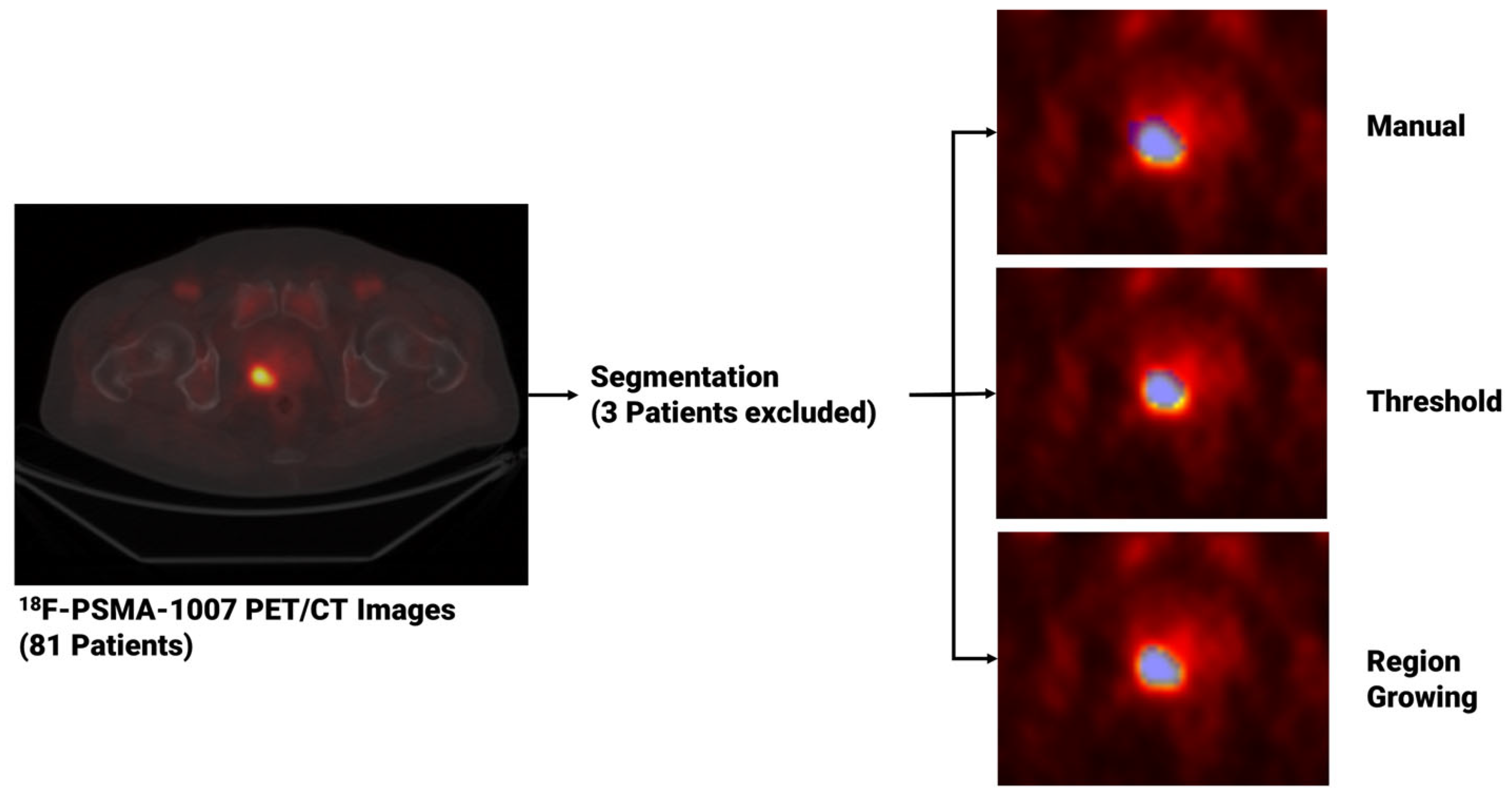 Diagnostics 13 03640 g001