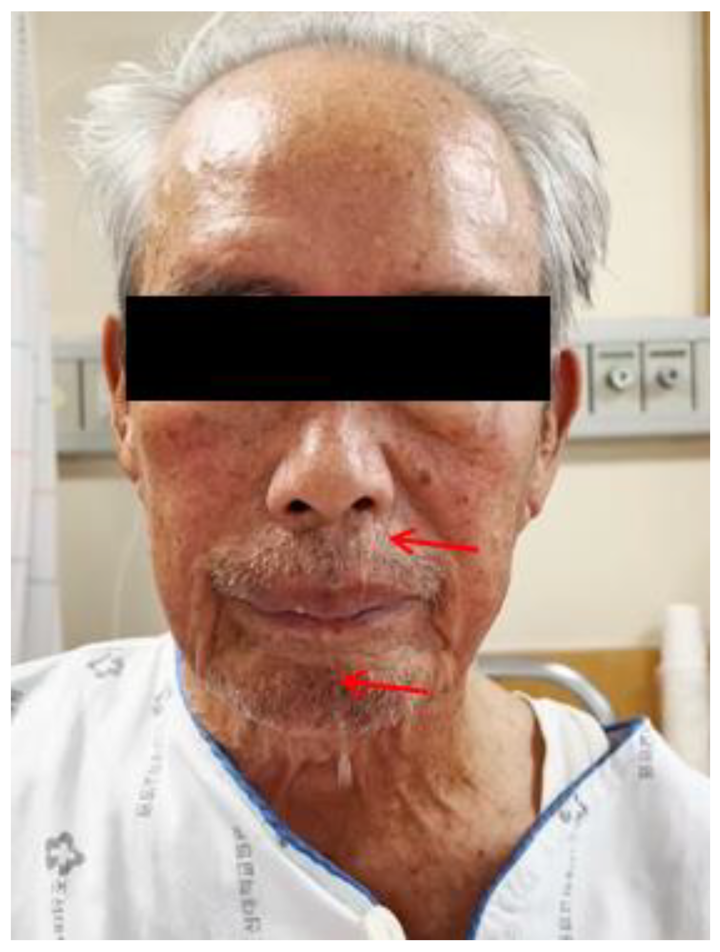 Diagnostics 13 03644 g001