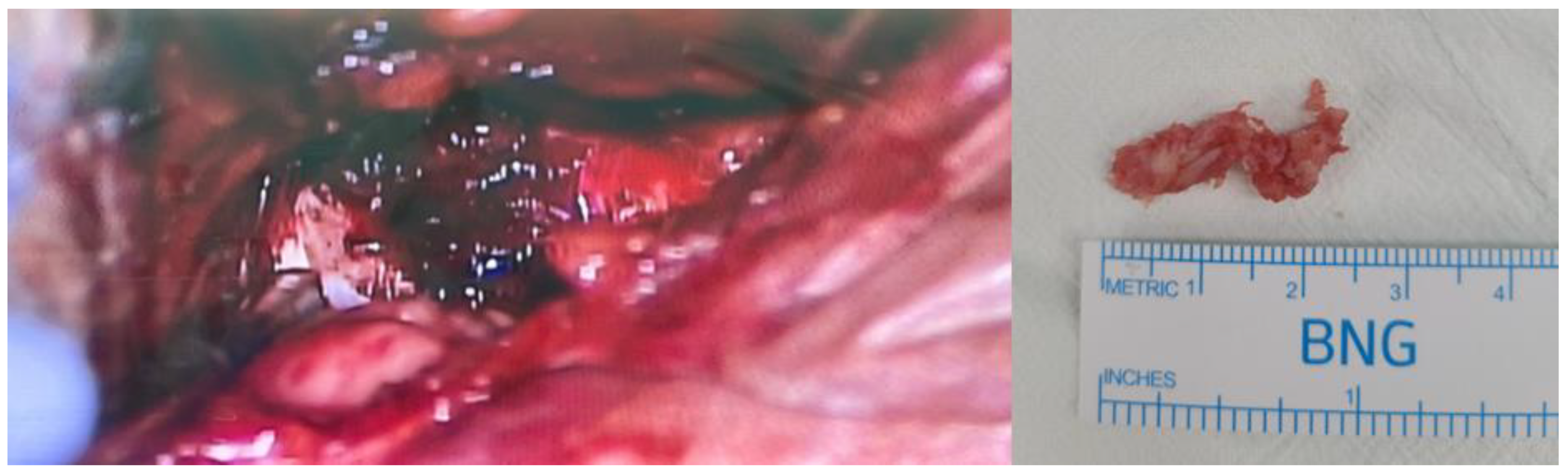 Diagnostics 13 03644 g004