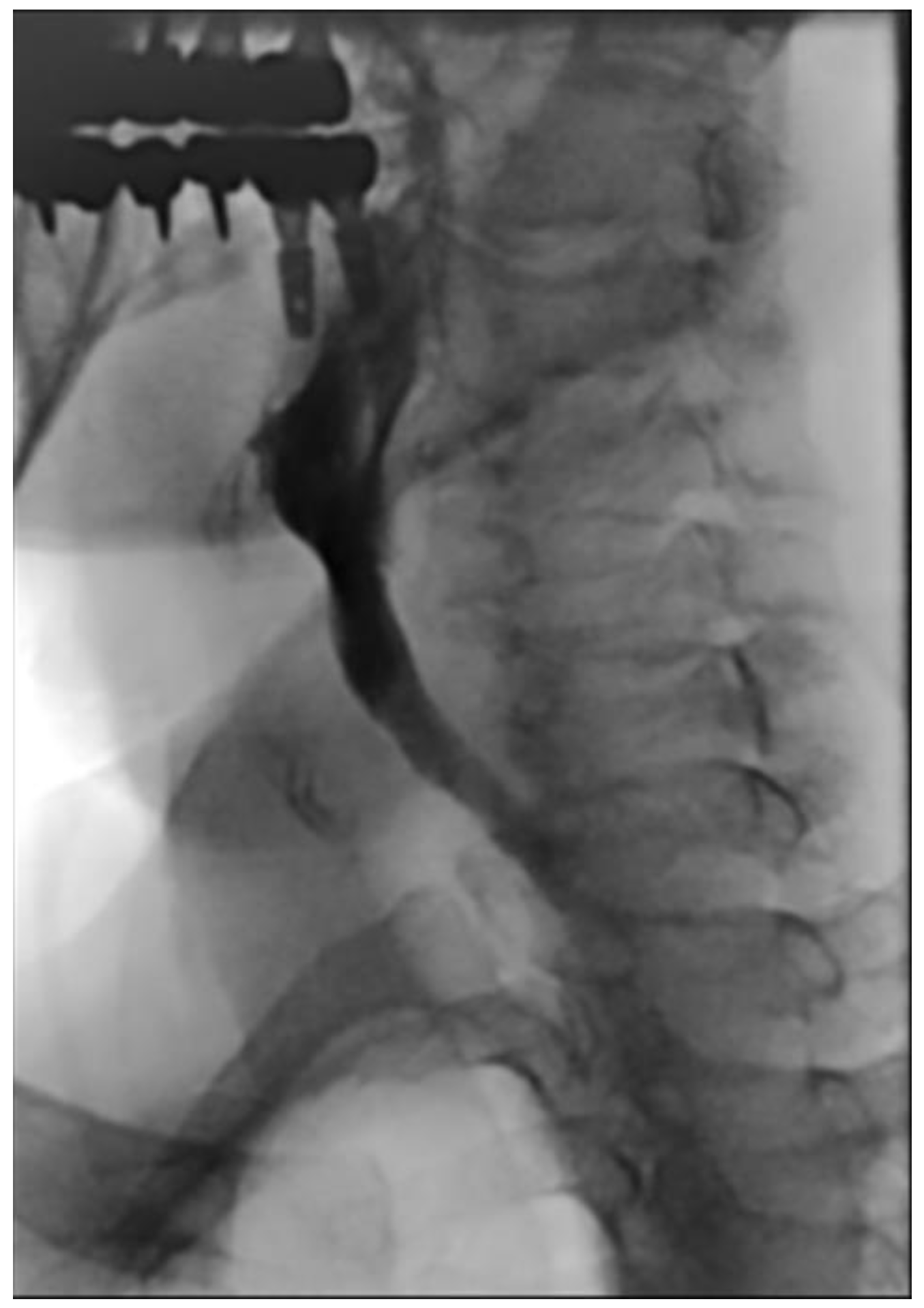 Diagnostics 13 03644 g005