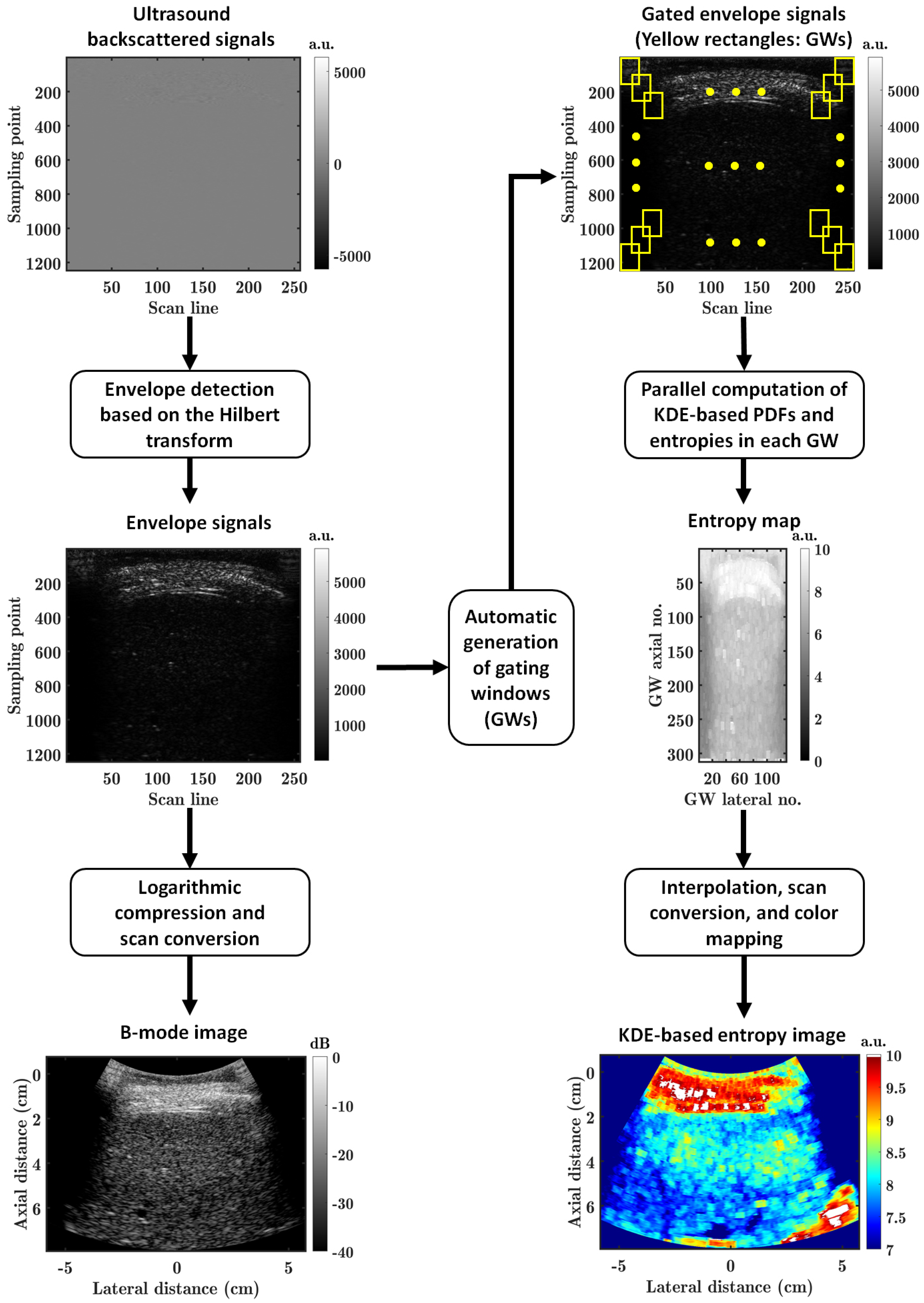 Diagnostics 13 03646 g001