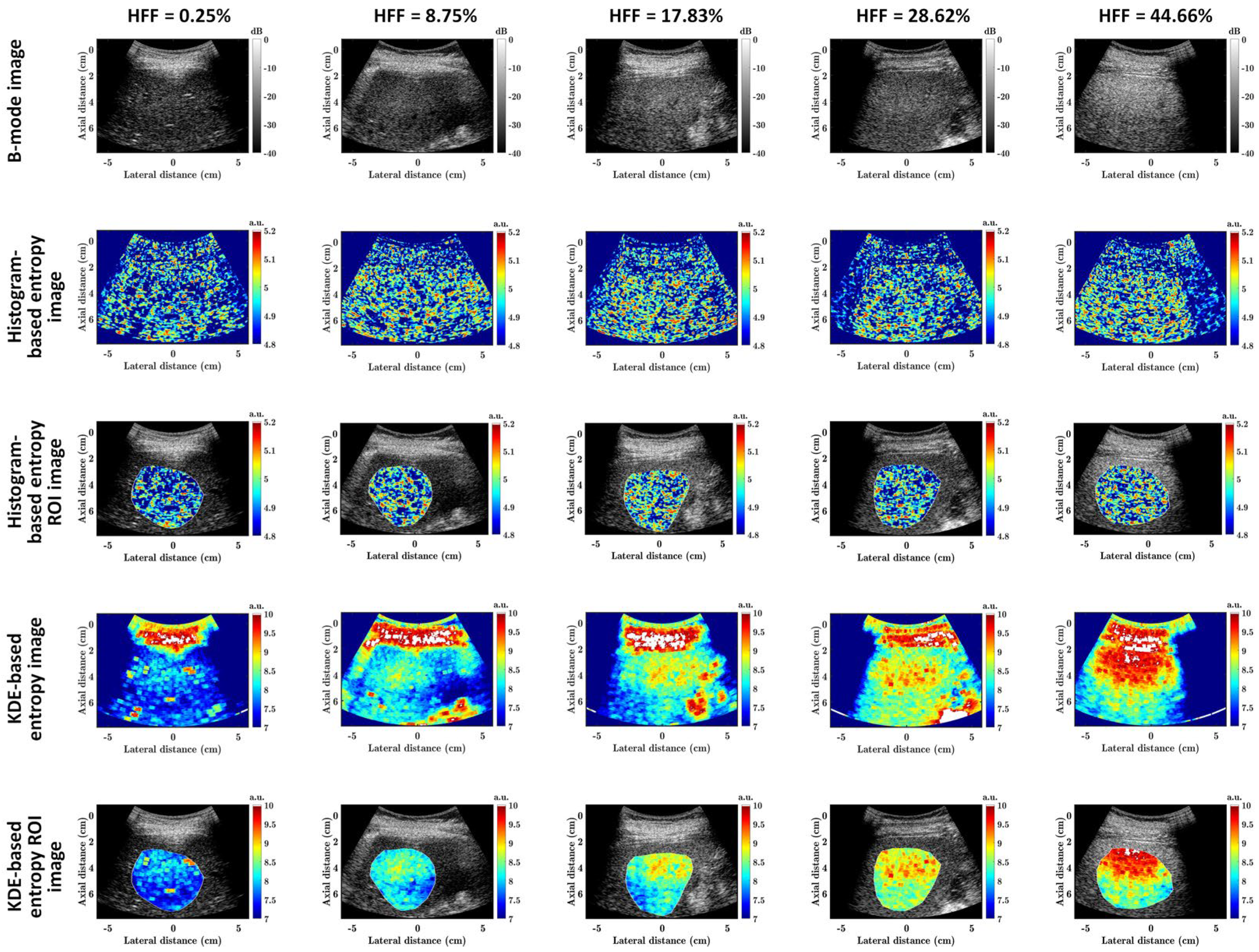 Diagnostics 13 03646 g002