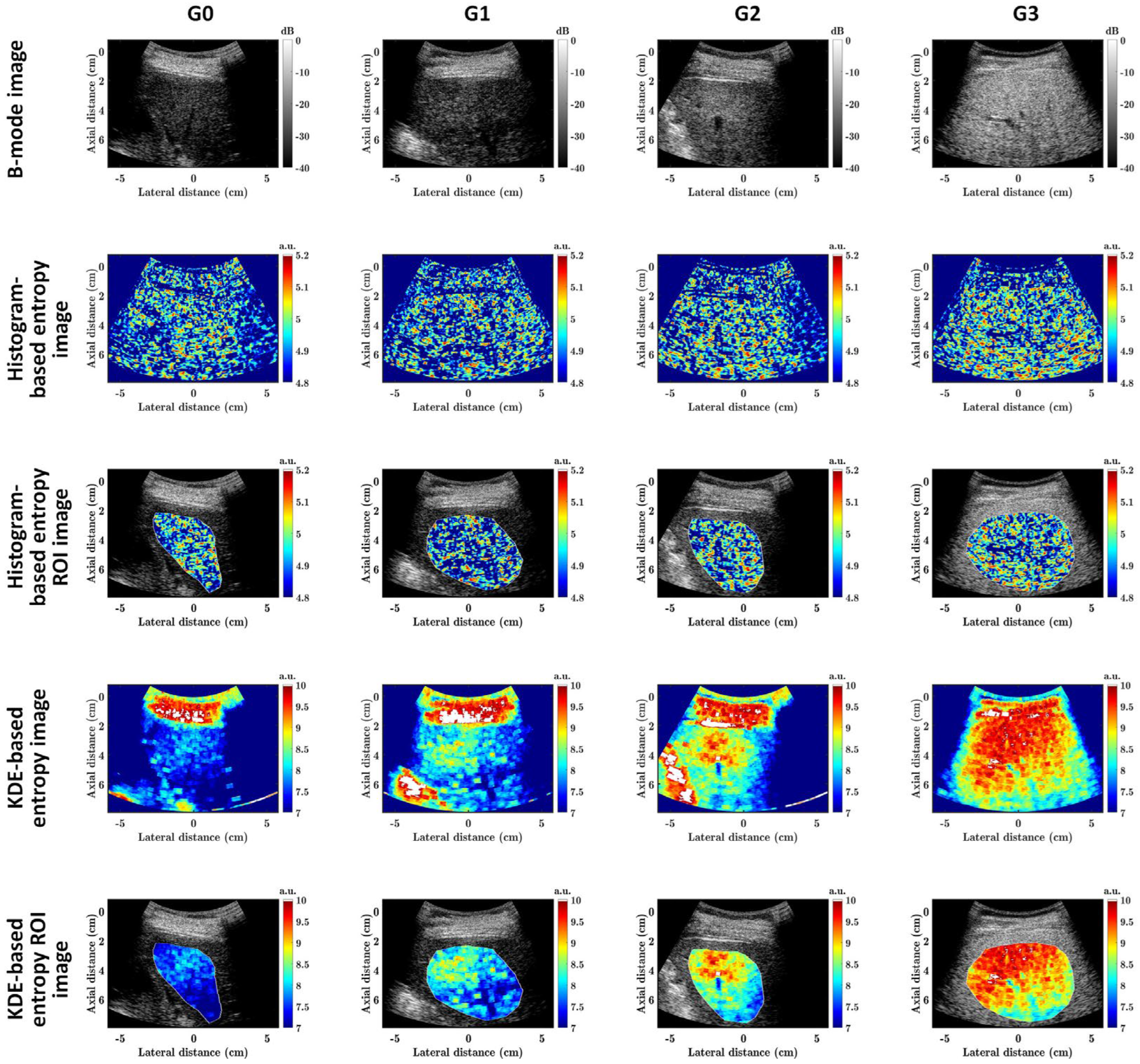 Diagnostics 13 03646 g005