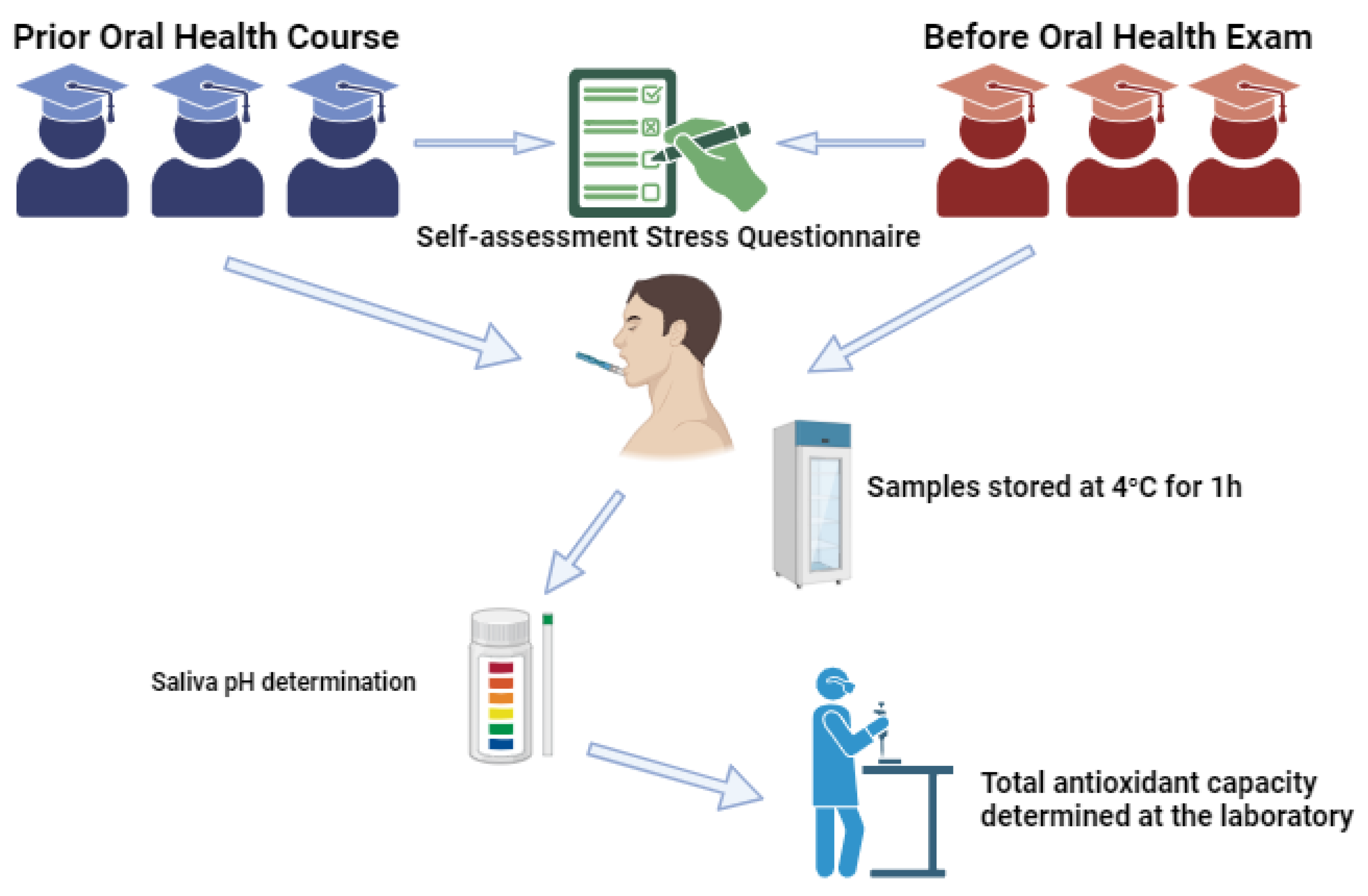 Diagnostics 13 03648 g001