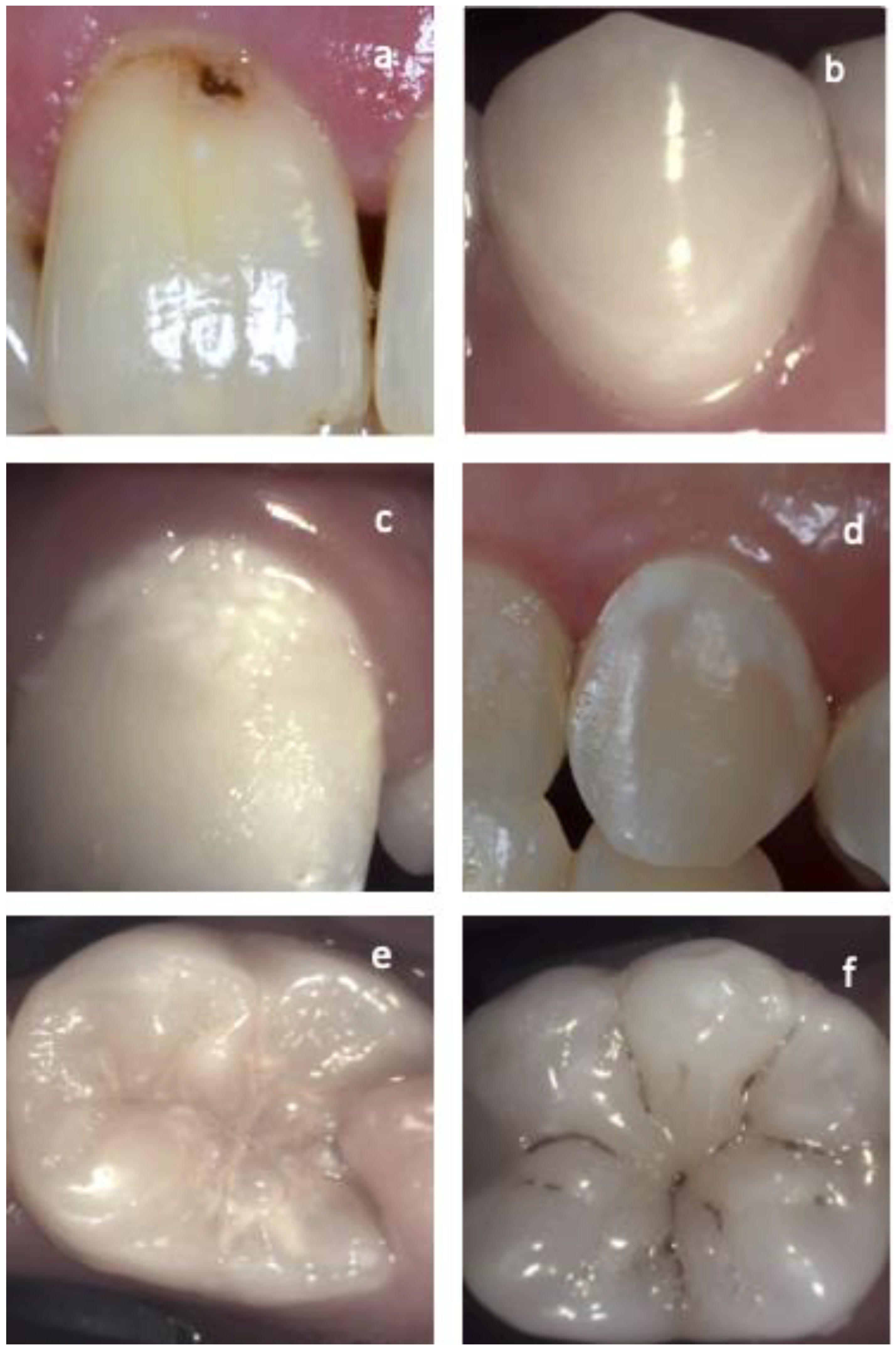 Diagnostics 13 03649 g001