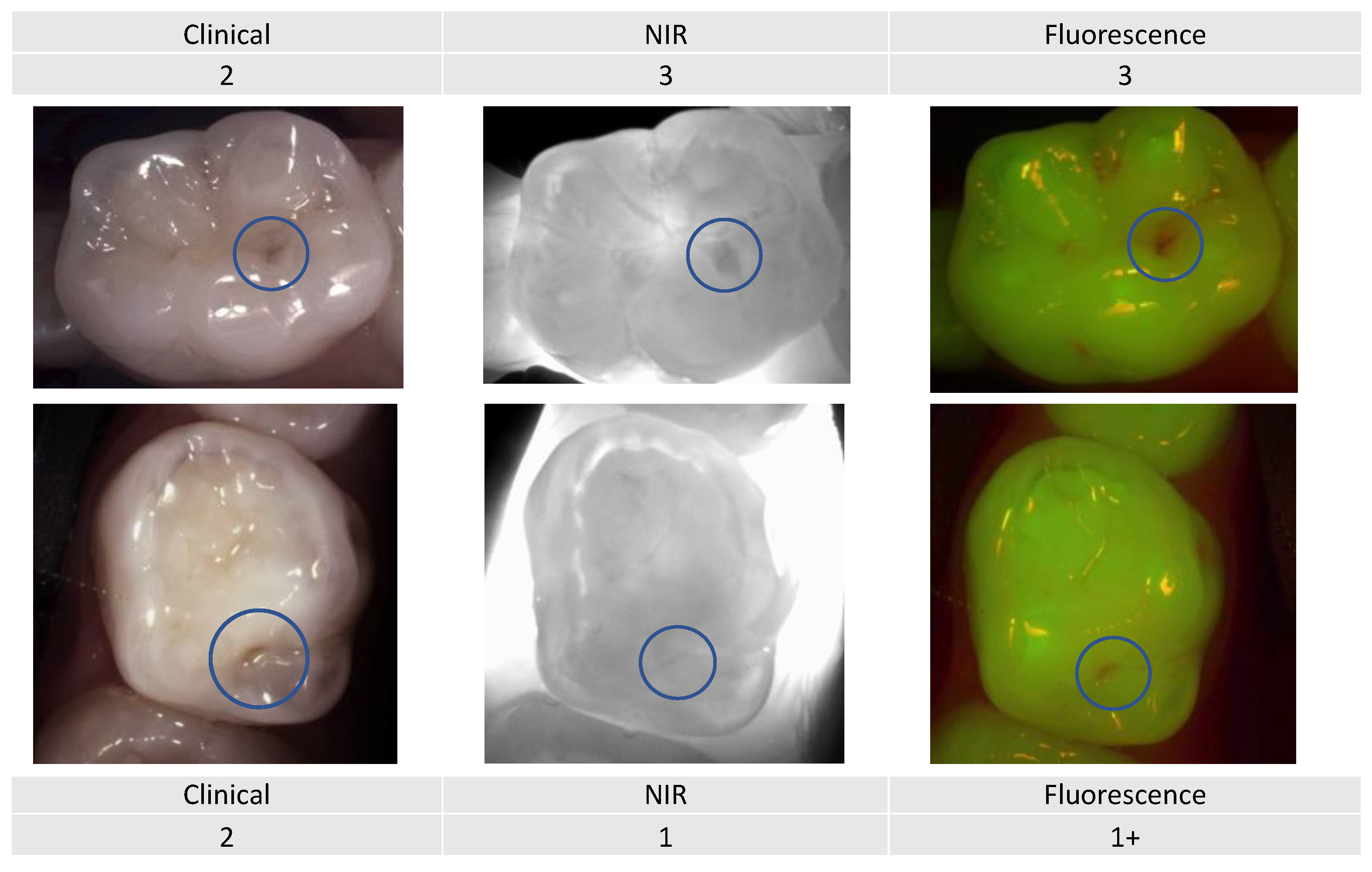 Diagnostics 13 03649 g011