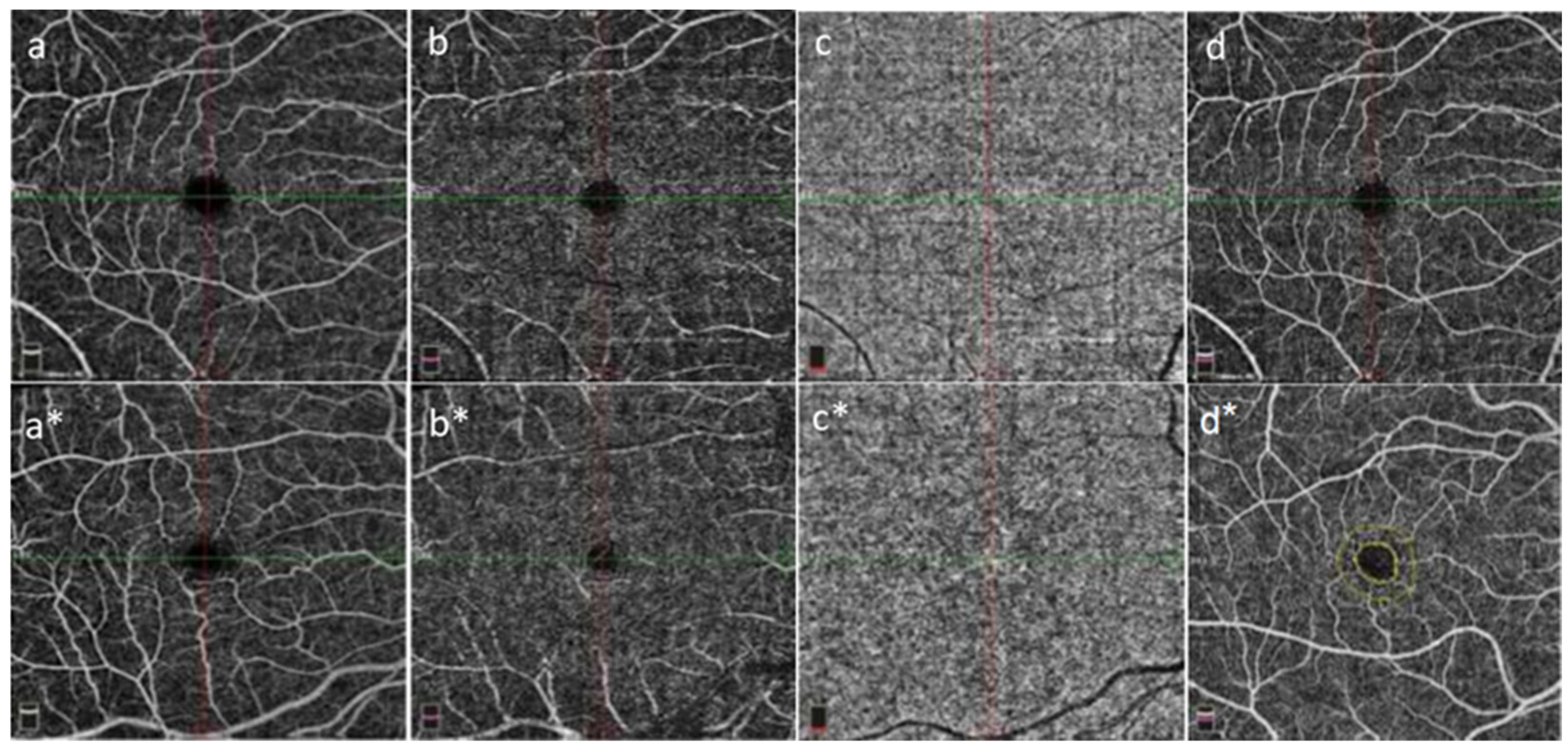 Diagnostics 13 03651 g001